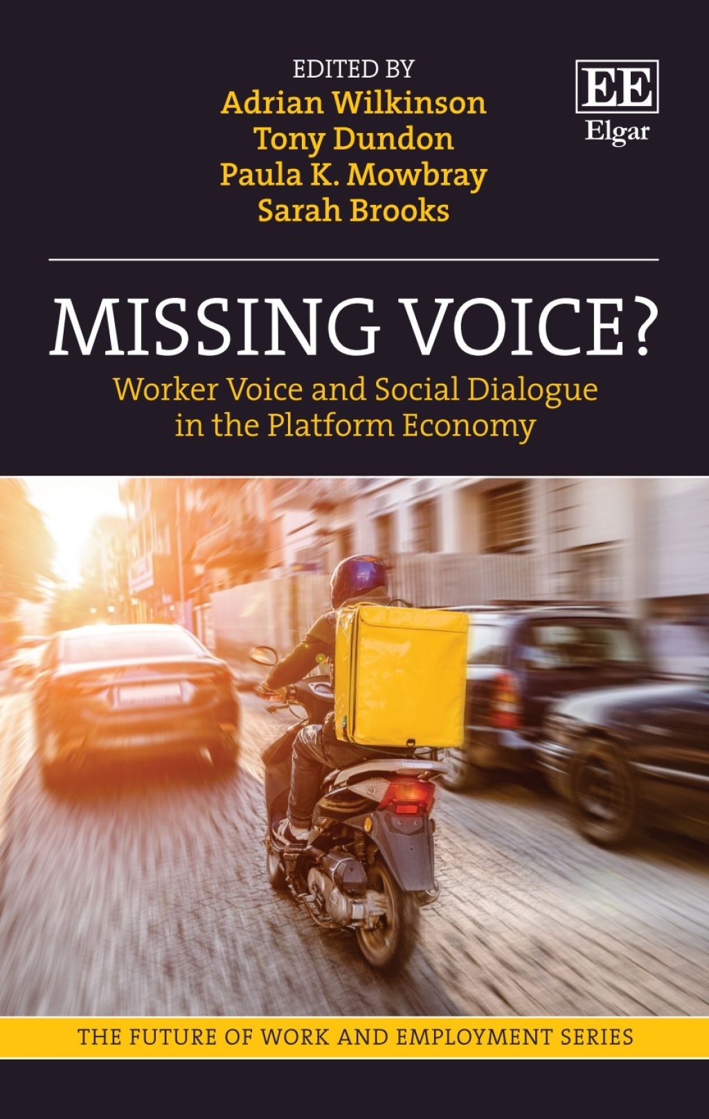Missing Voice? 1st Edition â€“ PDF/EPUB Version Downloadable