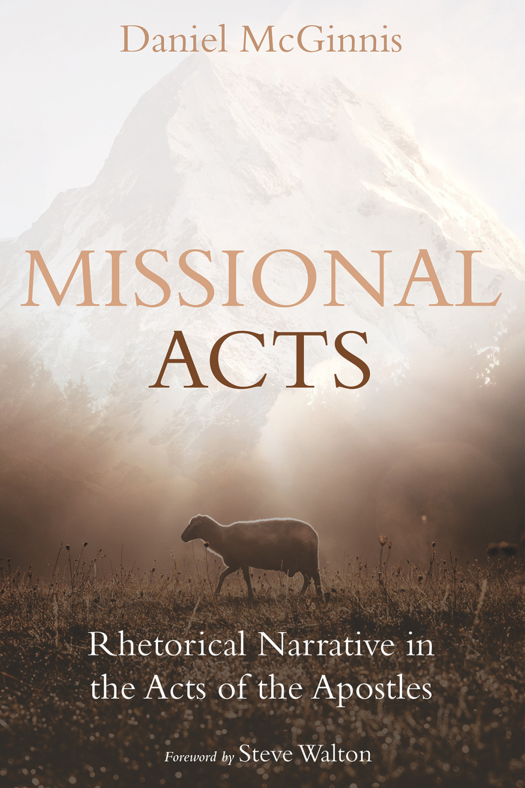 Missional Acts Rhetorical Narrative in the Acts of the Apostles  â€“ PDF/EPUB Version Downloadable