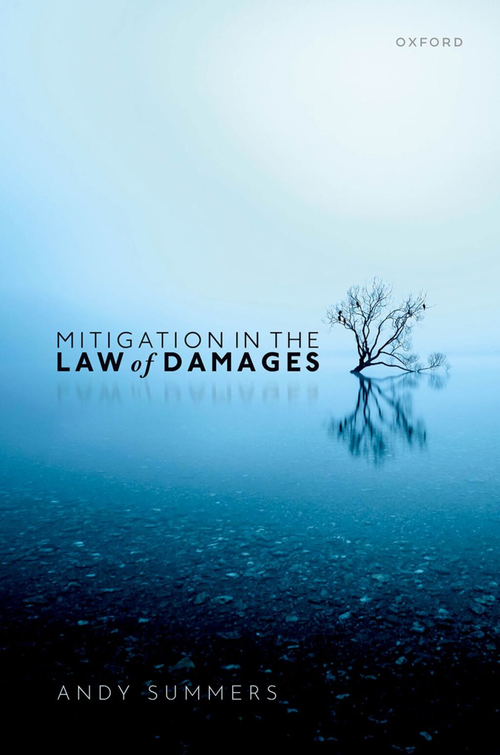 Mitigation in the Law of Damages 1st Edition â€“ PDF/EPUB Version Downloadable