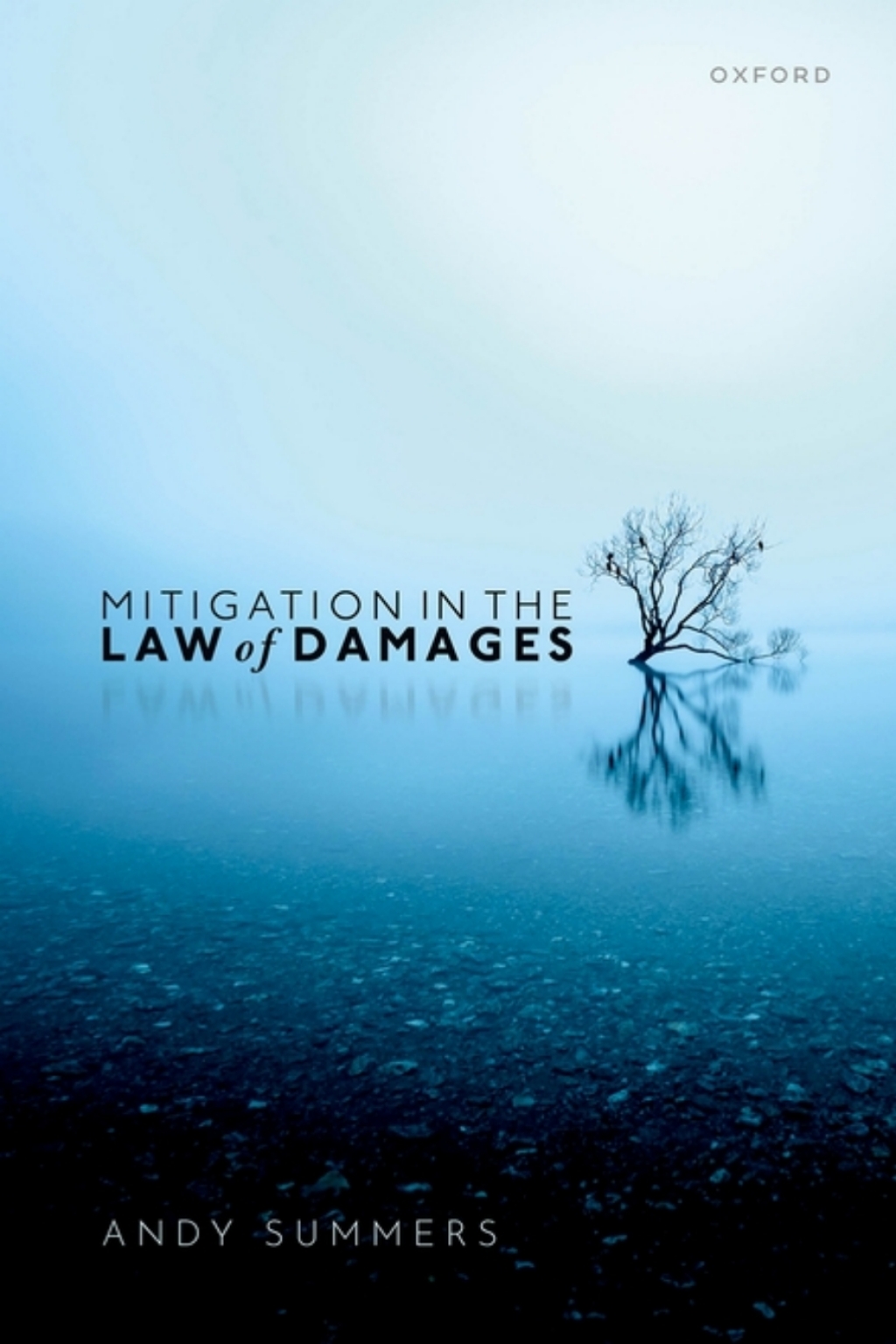 Mitigation in the Law of Damages 1st Edition â€“ PDF/EPUB Version Downloadable