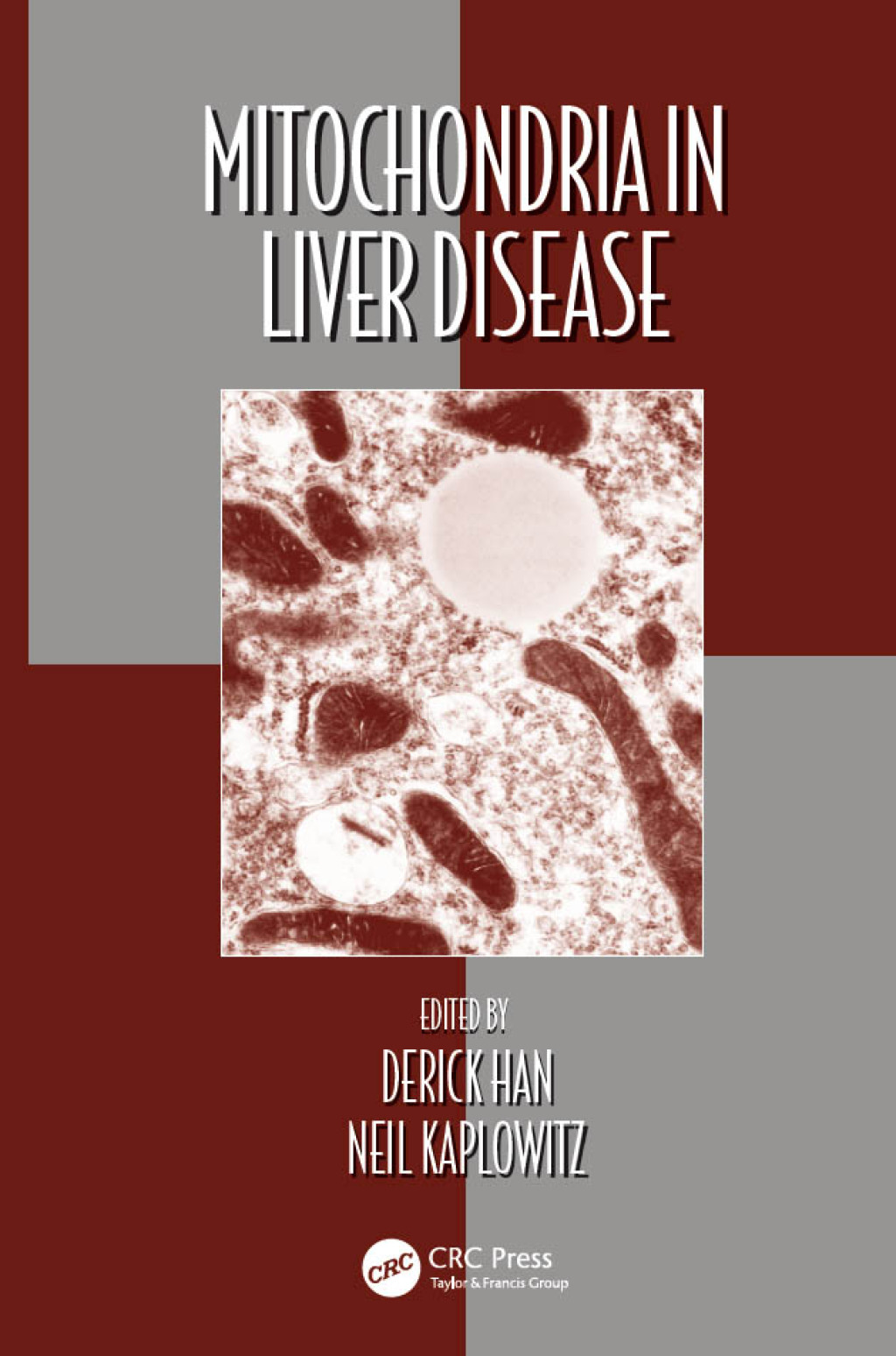 Mitochondria in Liver Disease 1st Edition â€“ PDF/EPUB Version Downloadable