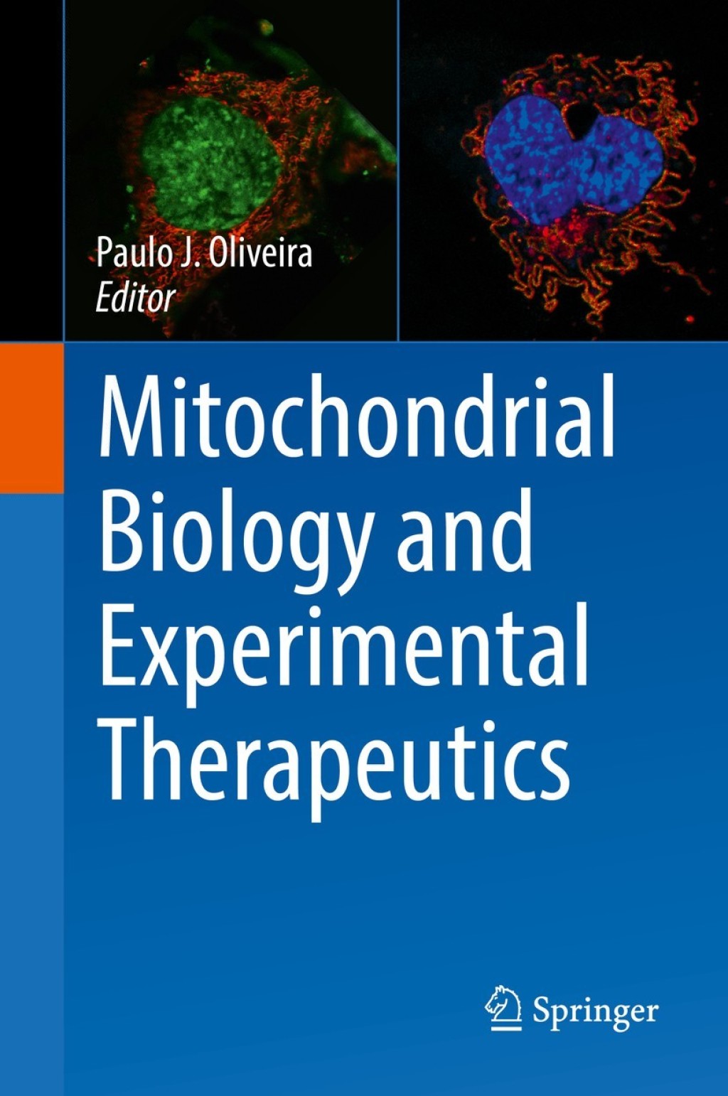 Mitochondrial Biology and Experimental Therapeutics  â€“ PDF/EPUB Version Downloadable