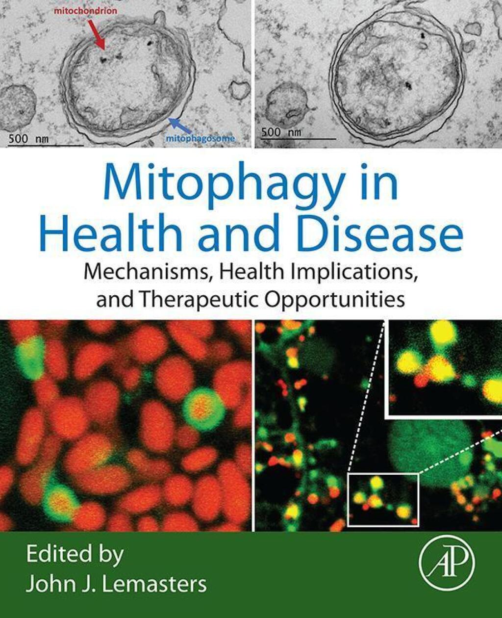 Mitophagy in Health and Disease Mechanisms, Health Implications, and Therapeutic Opportunities  â€“ PDF/EPUB Version Downloadable