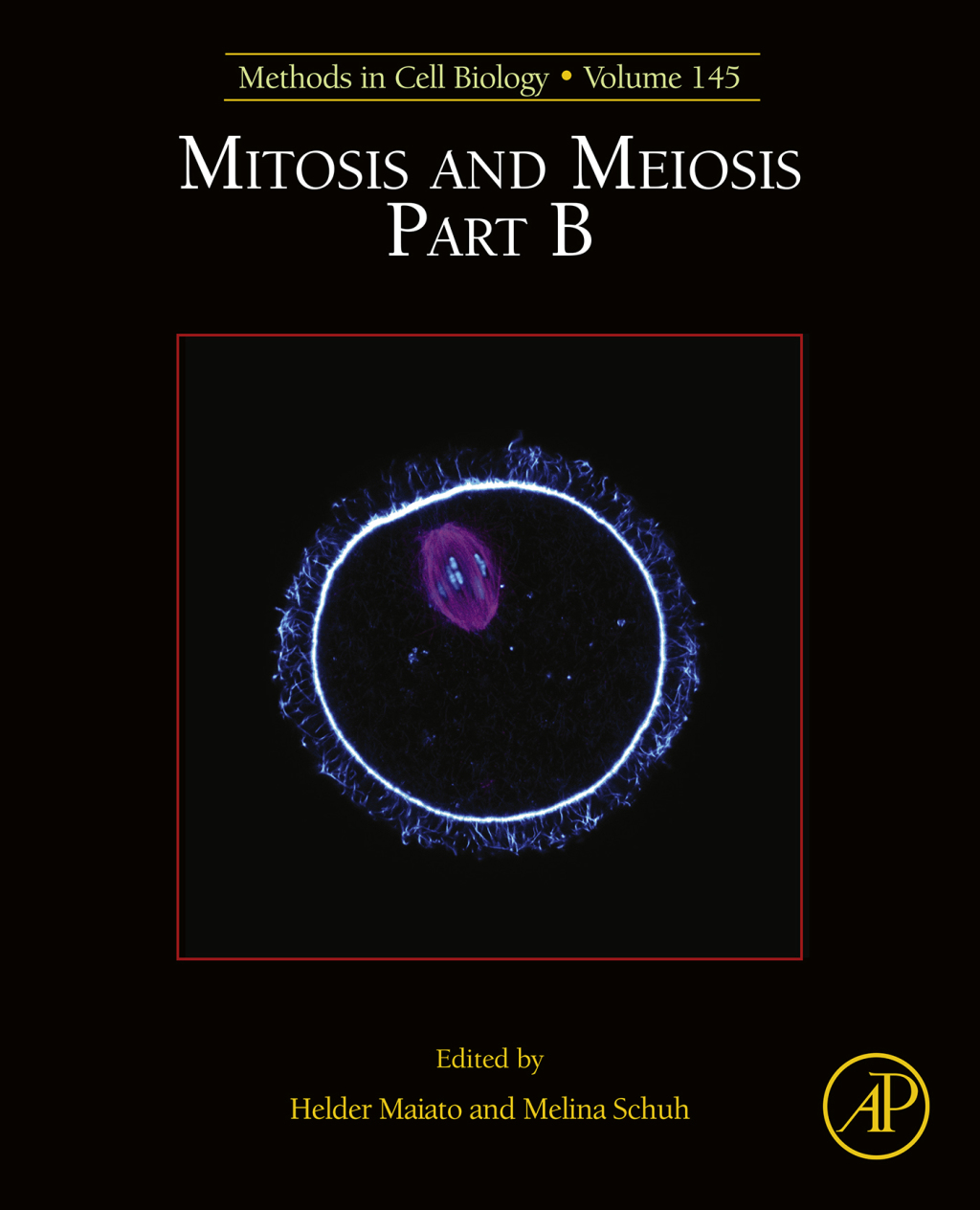 Mitosis and Meiosis Part B  â€“ PDF/EPUB Version Downloadable