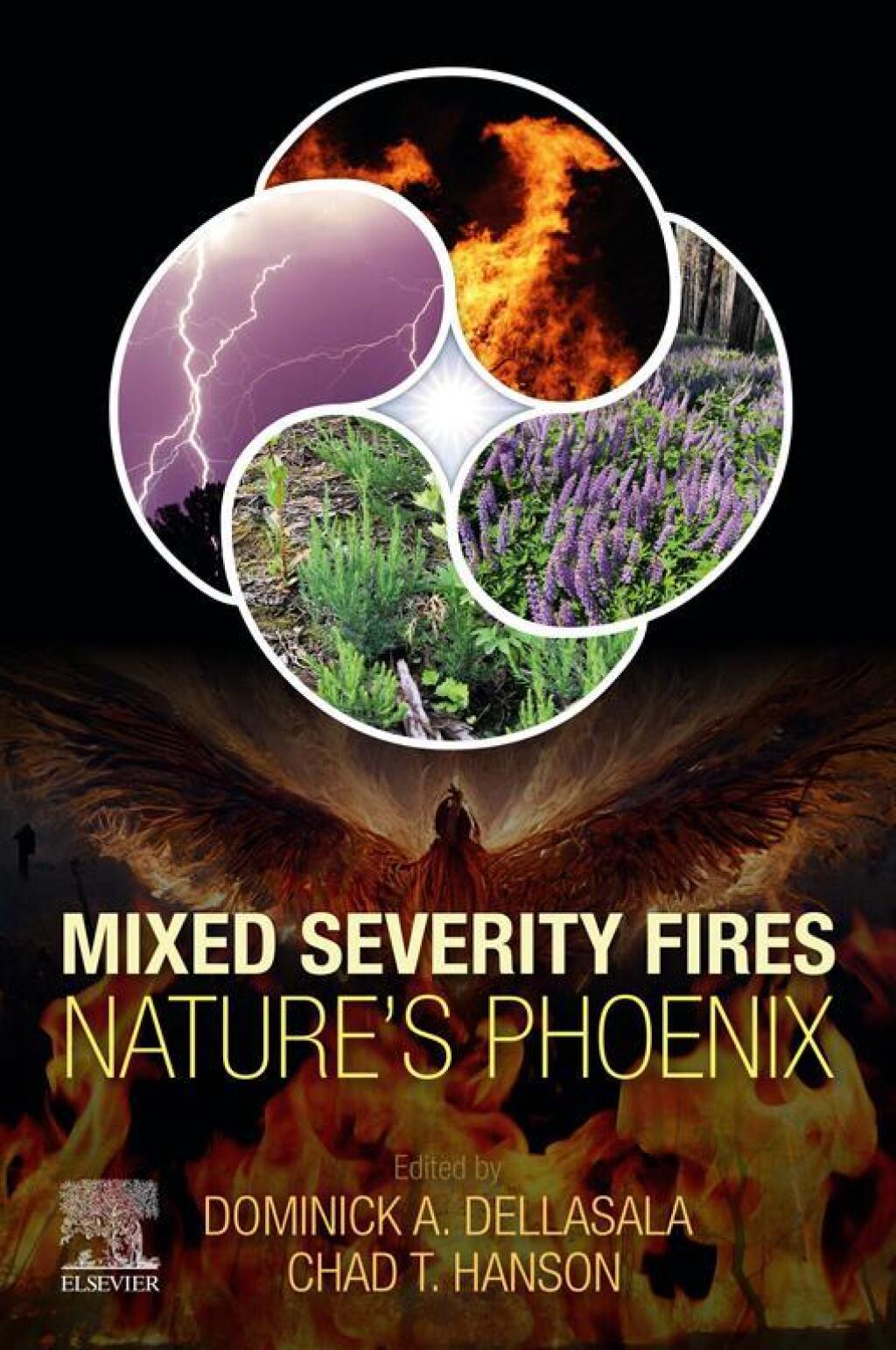 Mixed Severity Fires Natureâ€™s Phoenix 2nd Edition â€“ PDF/EPUB Version Downloadable