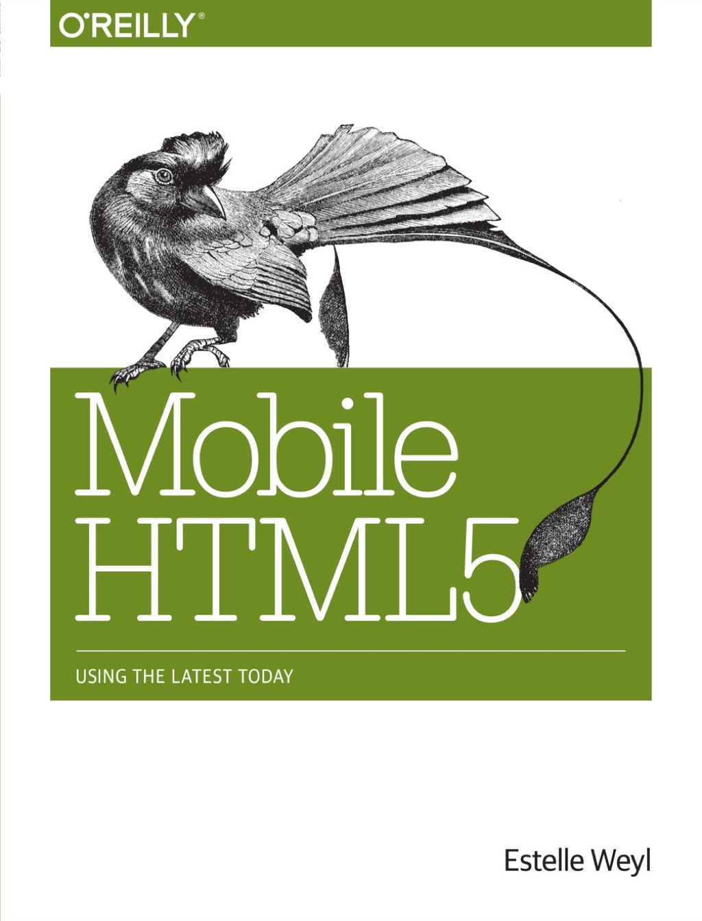 Mobile HTML5 1st Edition â€“ PDF/EPUB Version Downloadable