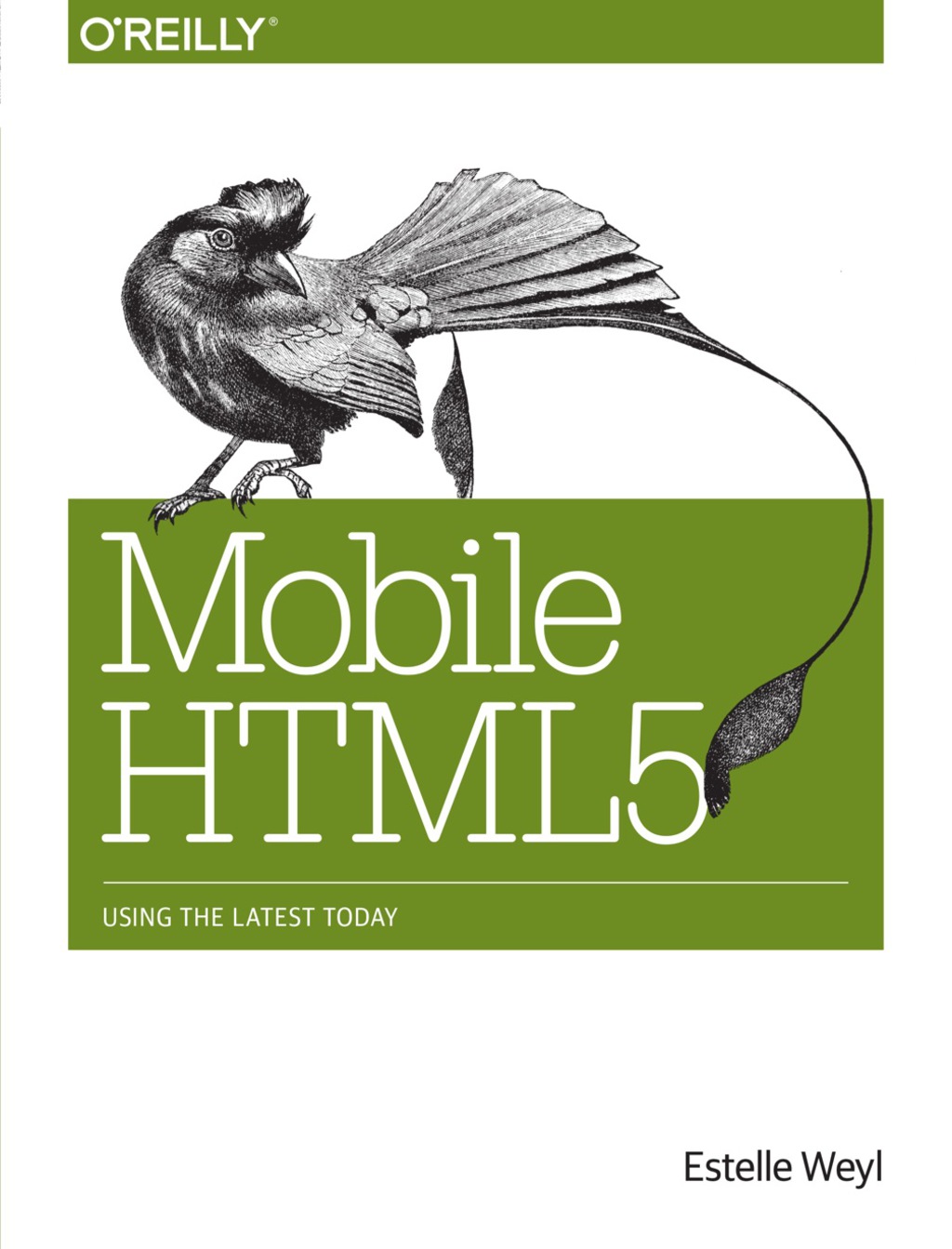 Mobile HTML5 Using the Latest Today 1st Edition – PDF/EPUB Version Downloadable Mobile HTML5 Using the Latest Today 1st Edition – PDF/EPUB Version Downloadable - Image 1