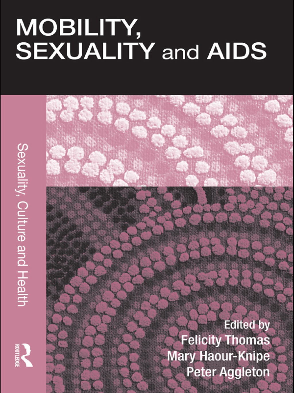 Mobility, Sexuality and AIDS 1st Edition â€“ PDF/EPUB Version Downloadable