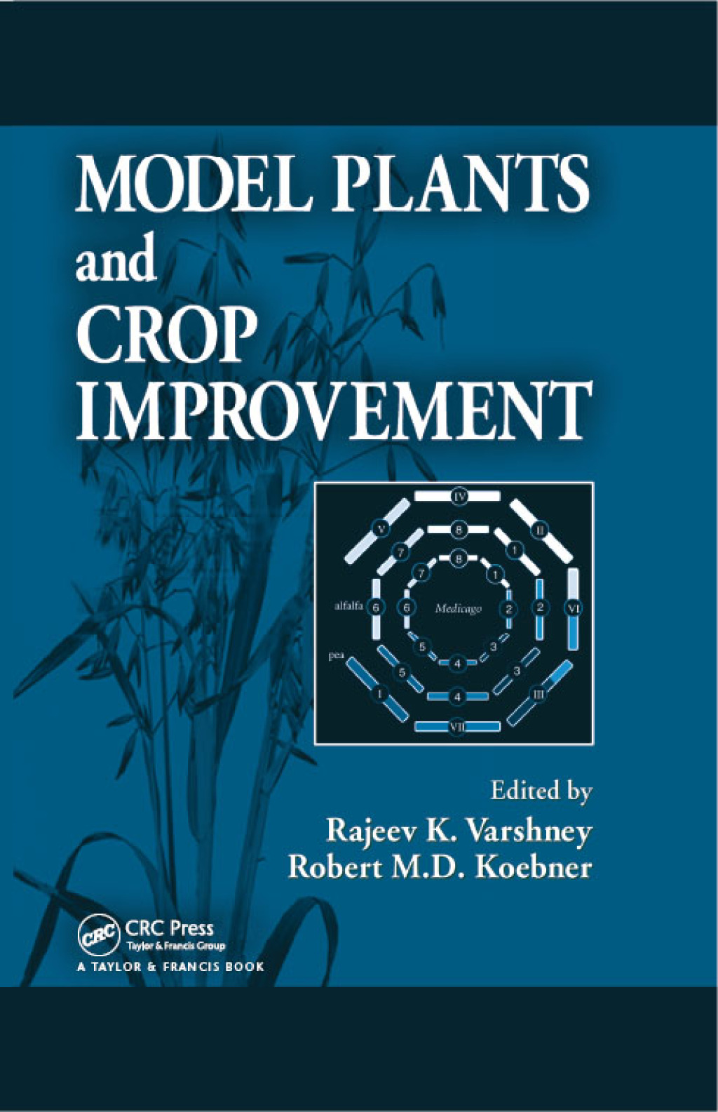 Model Plants and Crop Improvement 1st Edition â€“ PDF/EPUB Version Downloadable