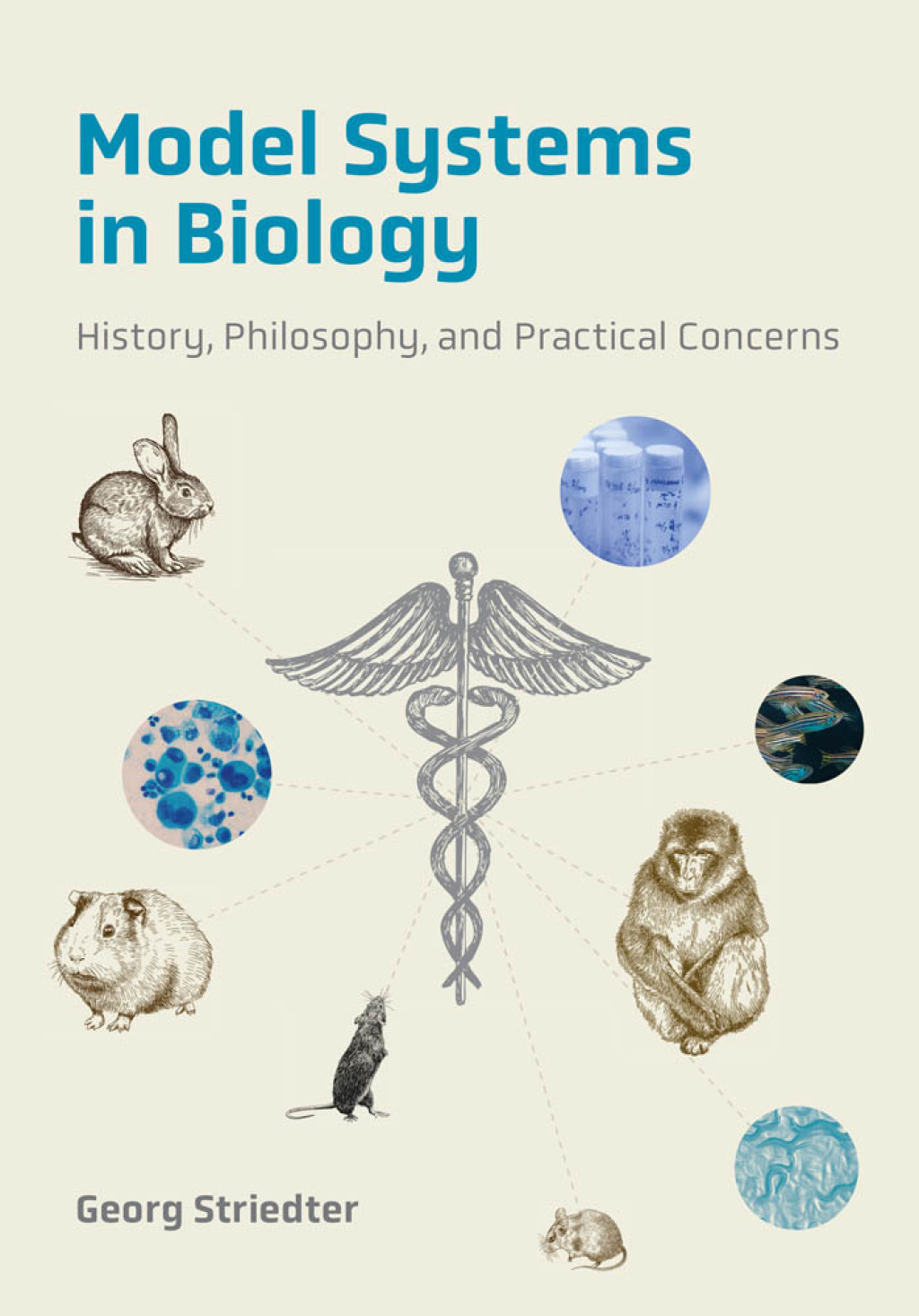 Model Systems in Biology History, Philosophy, and Practical Concerns - (PDF/EPUB Version)