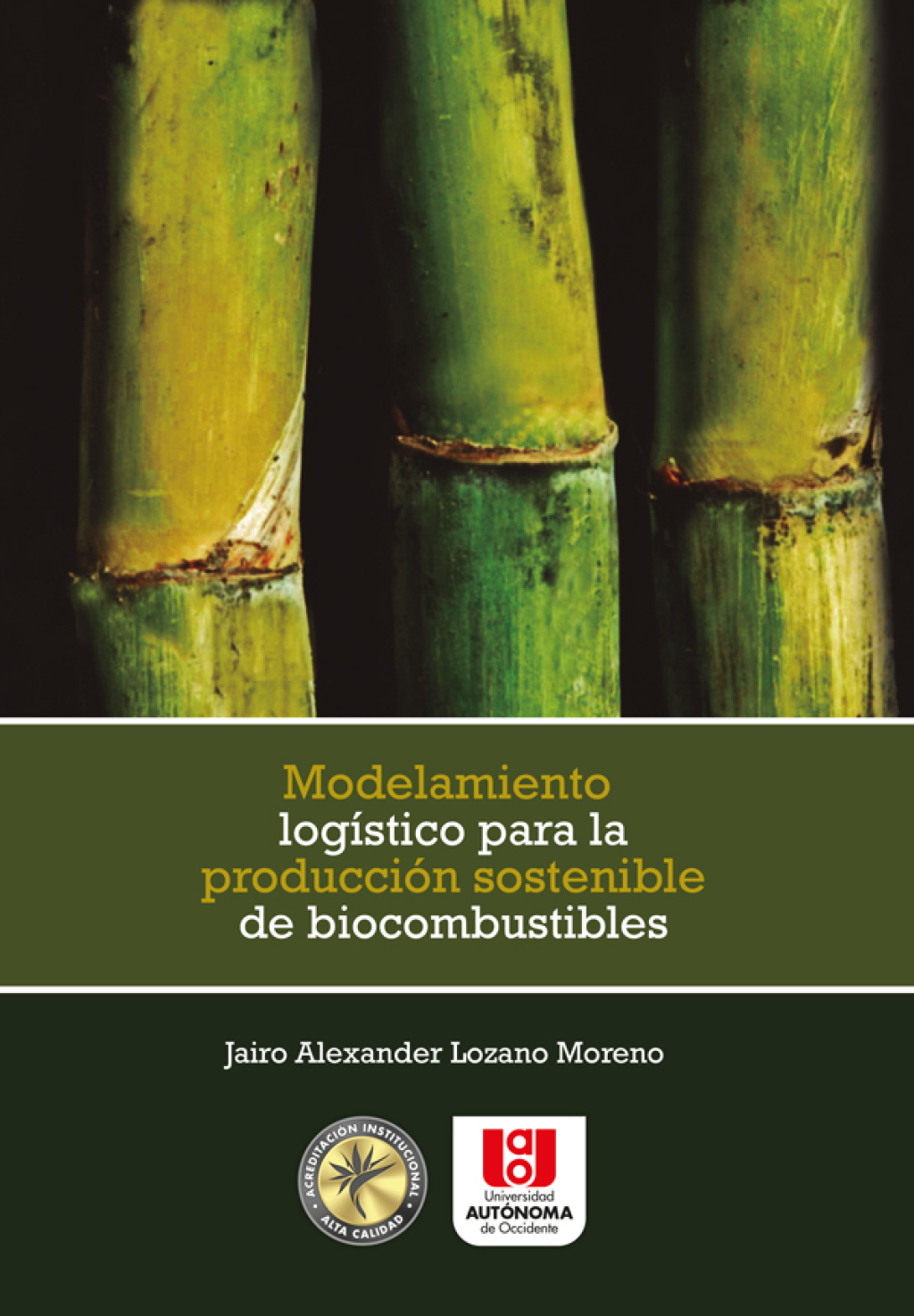 Modelamiento logÃ­stico para la producciÃ³n sostenible de biocombustibles. 1st Edition â€“ PDF/EPUB Version Downloadable