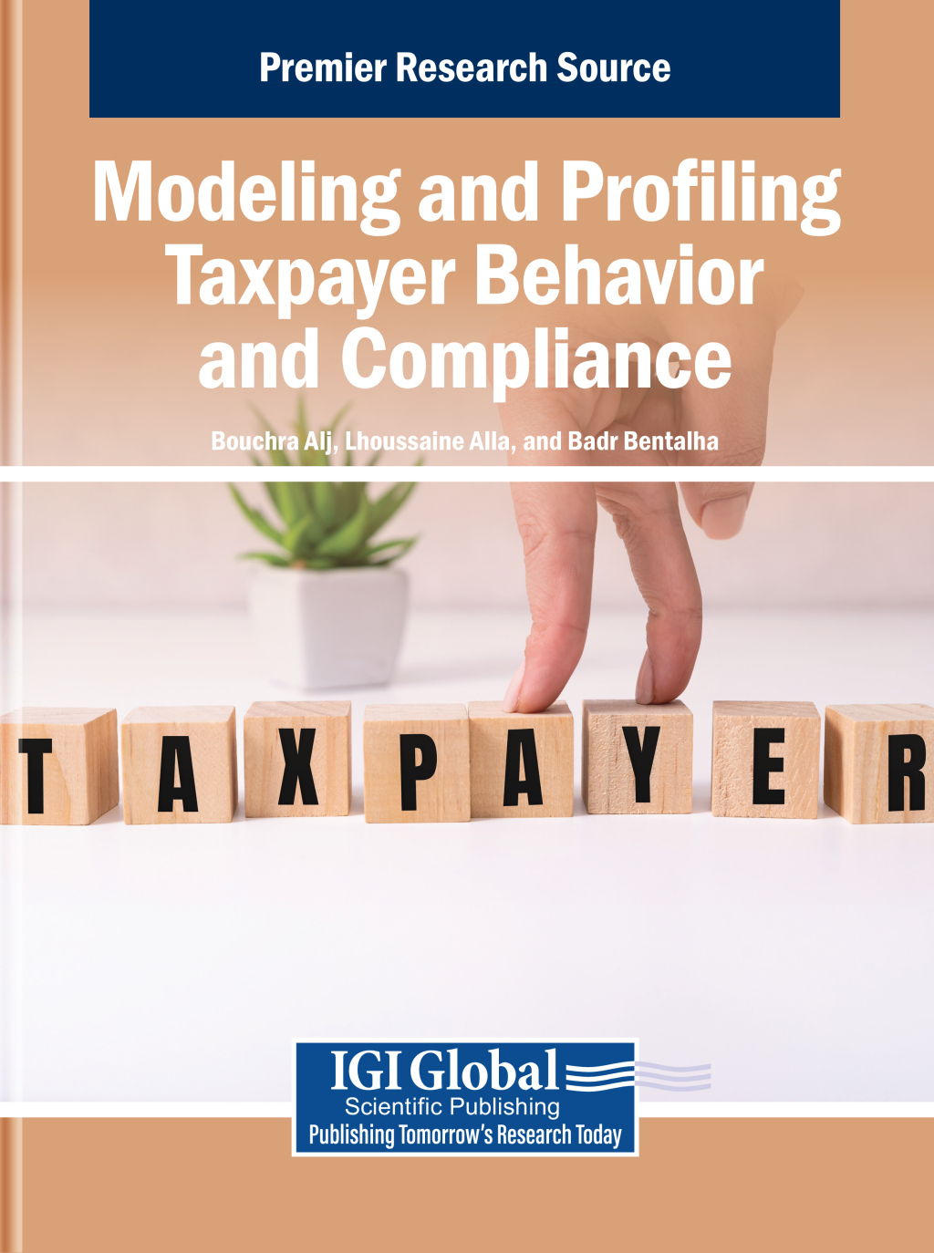 Modeling and Profiling Taxpayer Behavior and Compliance  â€“ PDF/EPUB Version Downloadable