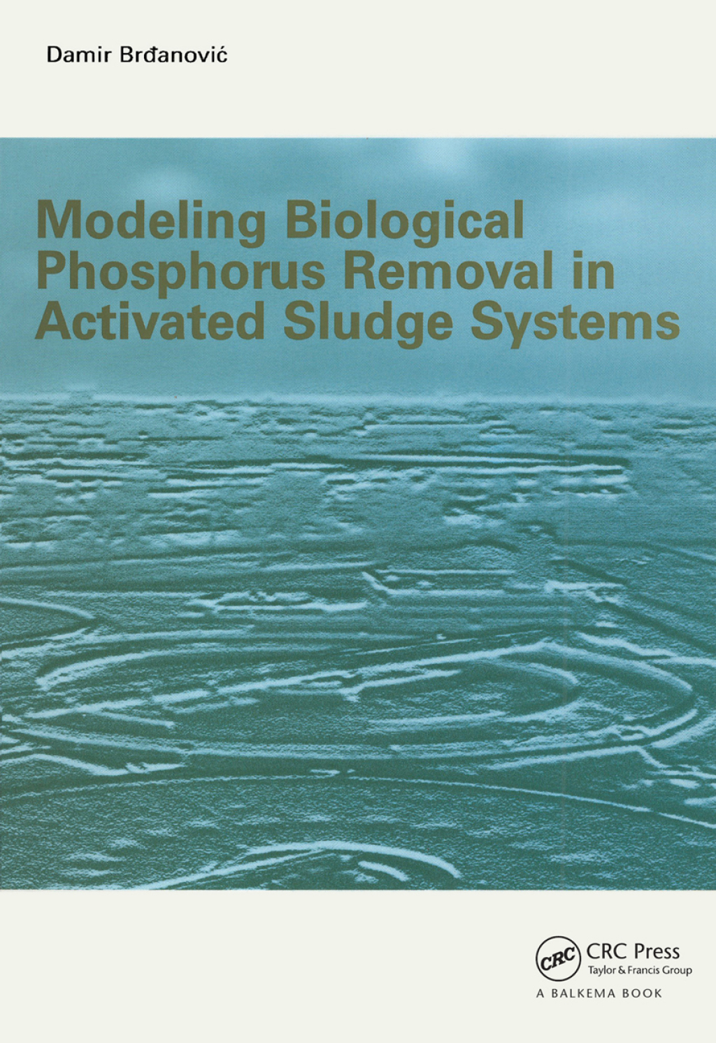 Modeling Biological Phosphorus Removal in Activated Sludge Systems 1st Edition â€“ PDF/EPUB Version Downloadable