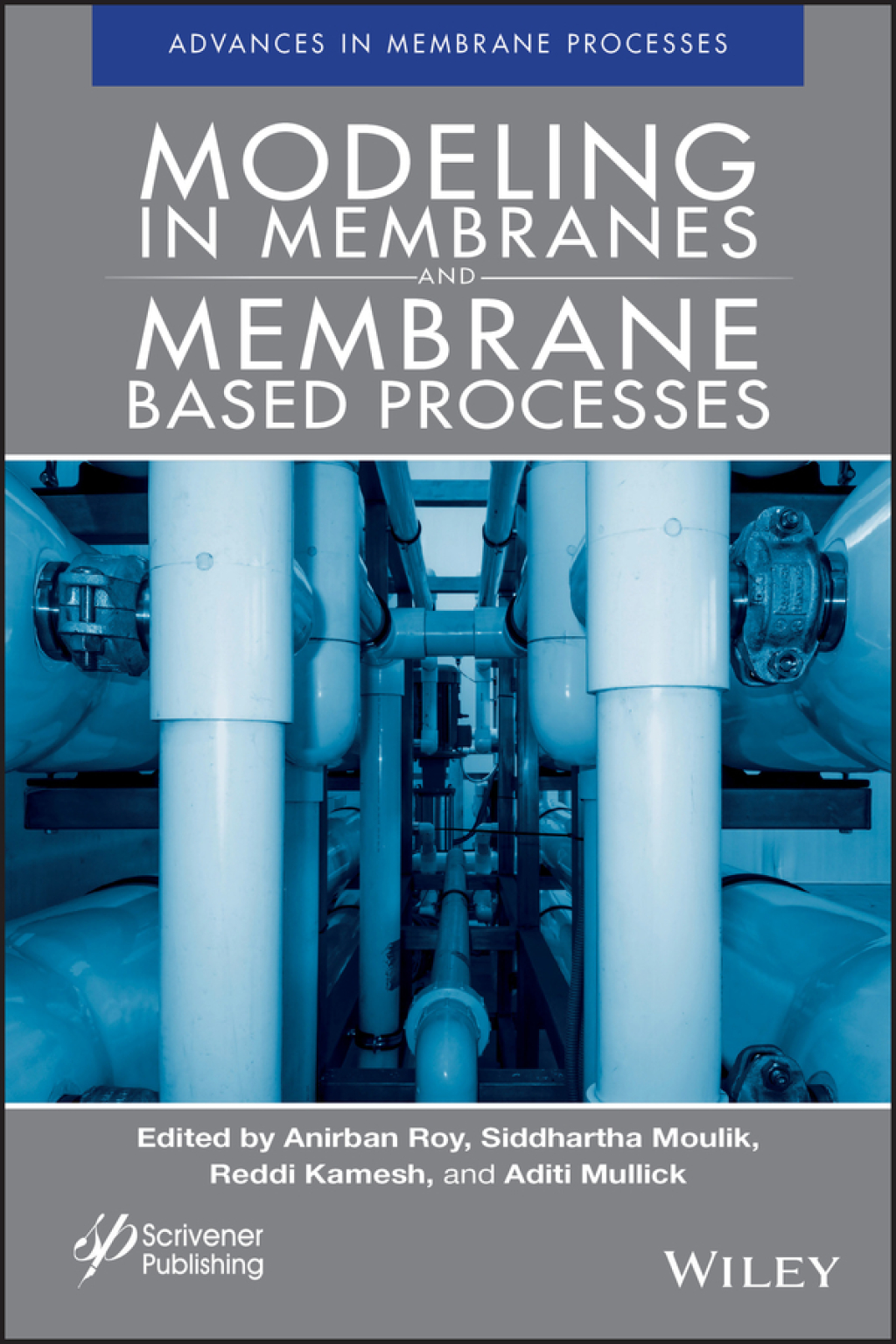 Modeling in Membranes and Membrane-Based Processes 1st Edition â€“ PDF/EPUB Version Downloadable