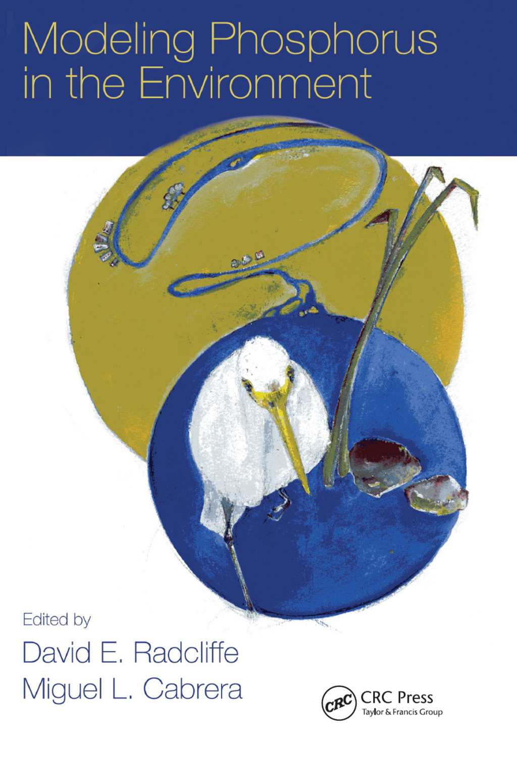 Modeling Phosphorus in the Environment 1st Edition â€“ PDF/EPUB Version Downloadable