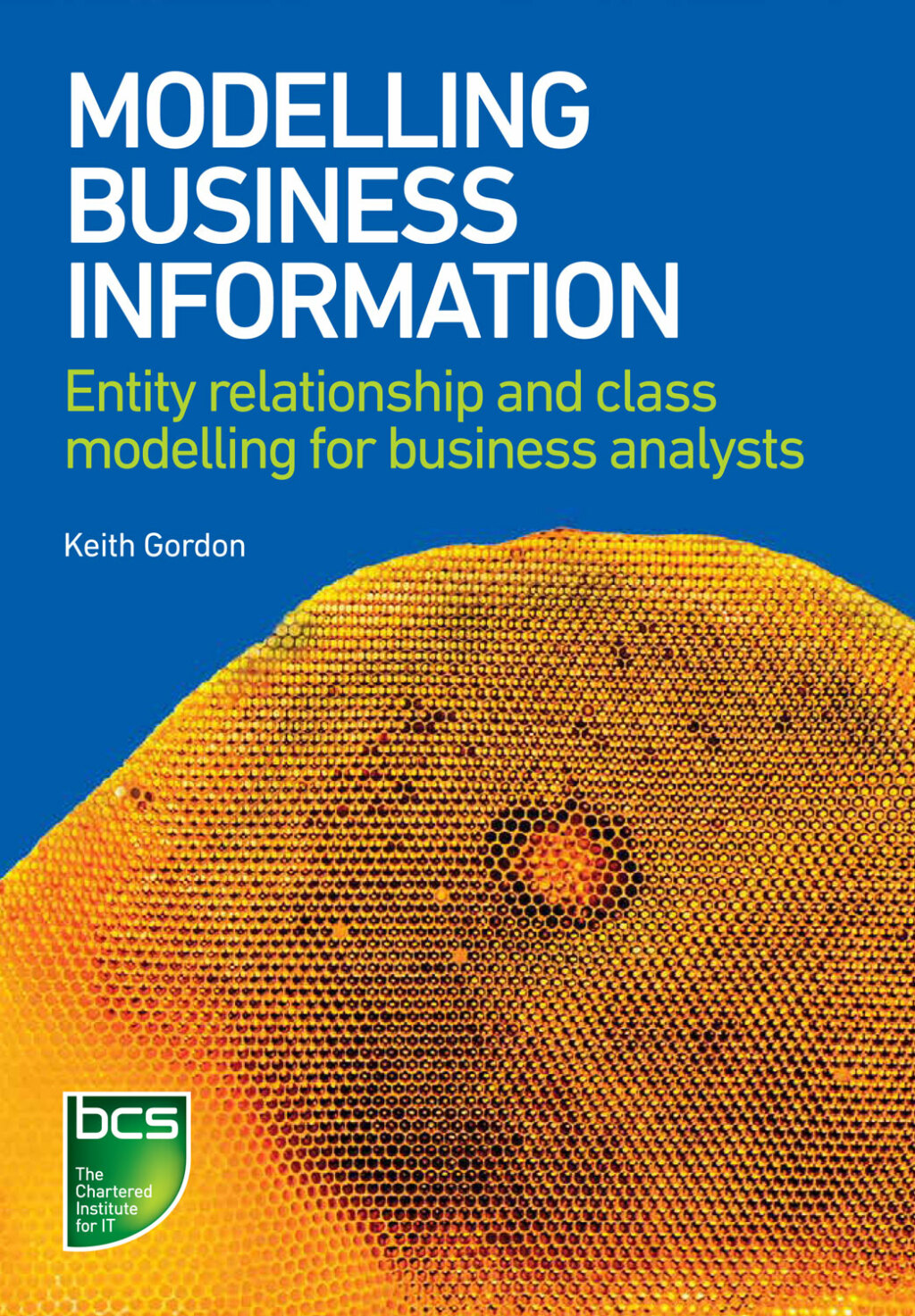 Modelling Business Information Entity relationship and class modelling for Business Analysts 1st Edition â€“ PDF/EPUB Version Downloadable
