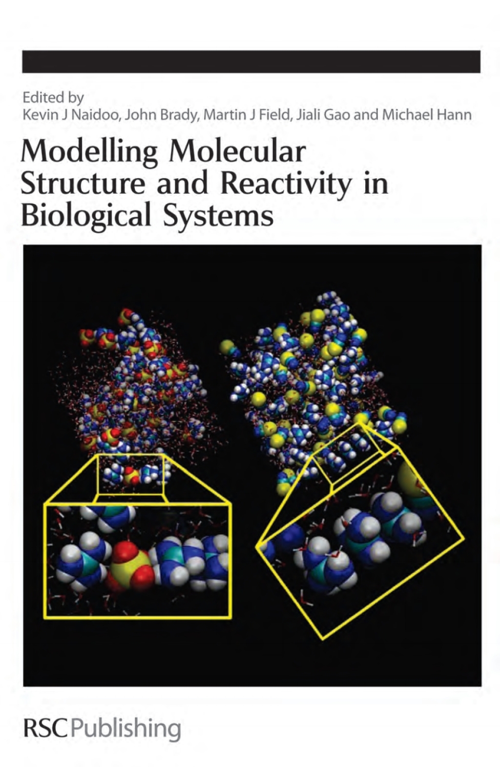 Modelling Molecular Structure and Reactivity in Biological Systems 1st Edition â€“ PDF/EPUB Version Downloadable