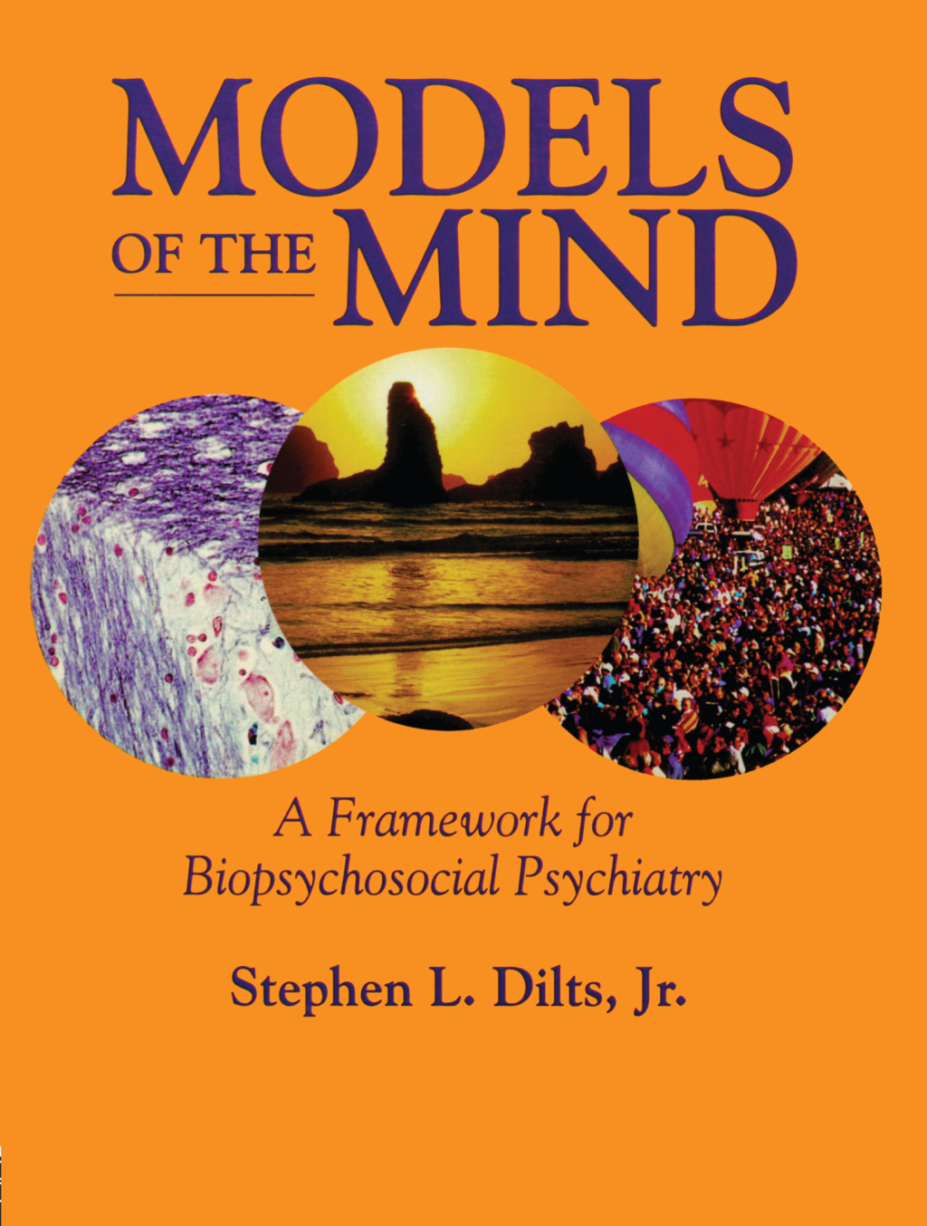 Models of the Mind A Framework for Biopsychosocial Psychiatry 1st Edition â€“ PDF/EPUB Version Downloadable