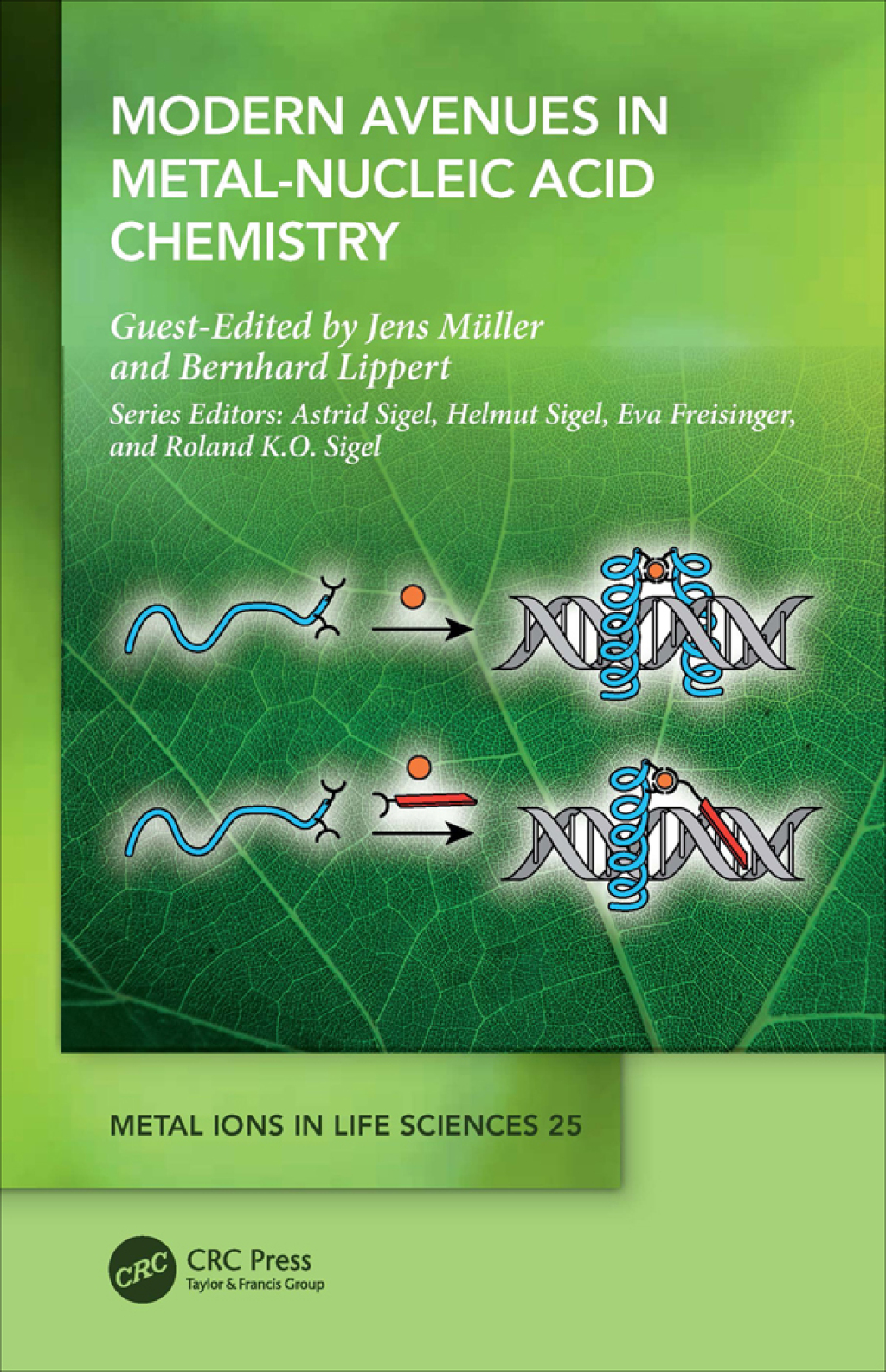 Modern Avenues in Metal-Nucleic Acid Chemistry 1st Edition â€“ PDF/EPUB Version Downloadable