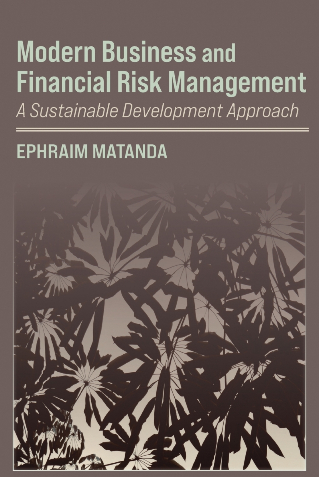 Modern Business and Financial Risk Management A Sustainable Development Approach  â€“ PDF/EPUB Version Downloadable