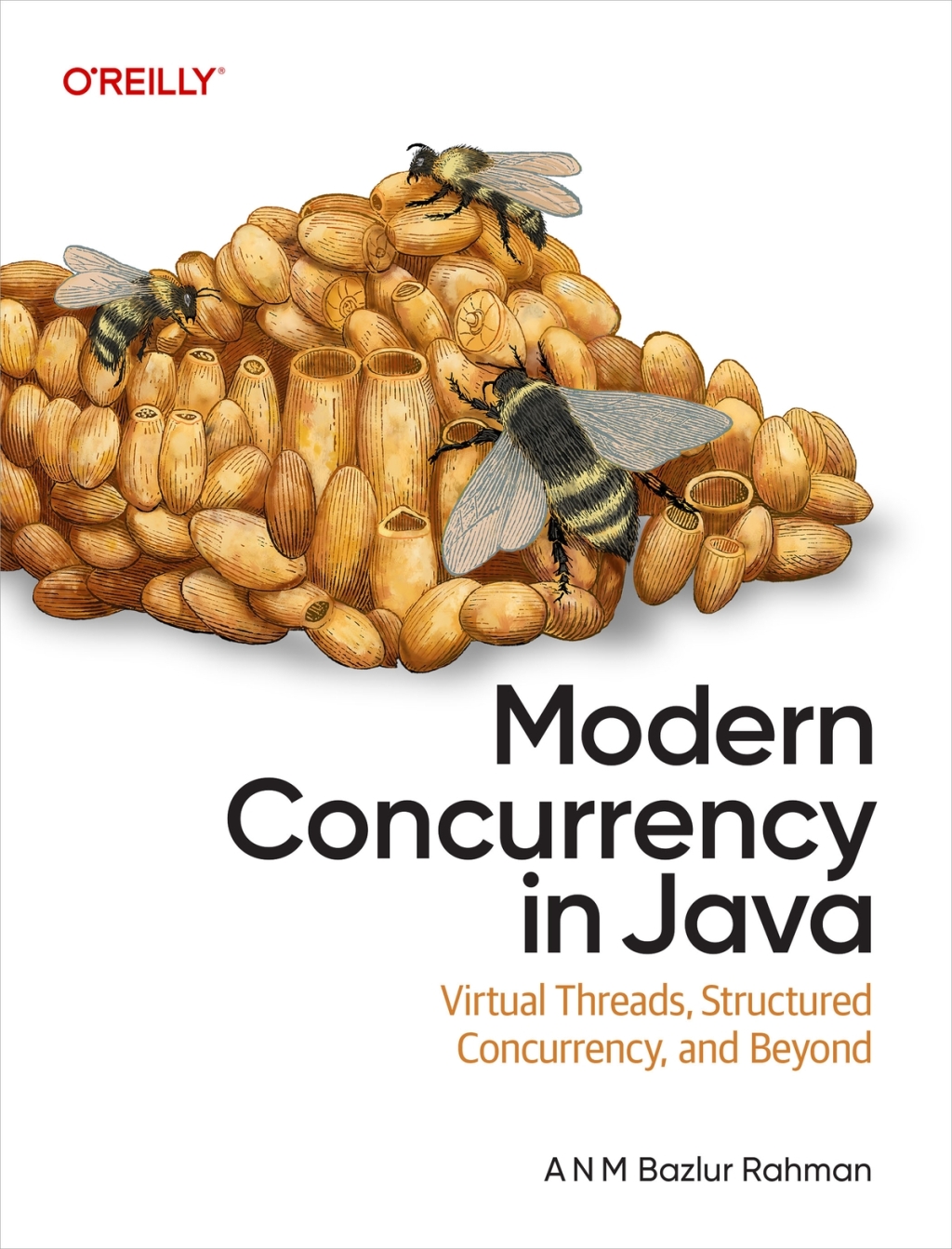Modern Concurrency in Java Virtual Threads, Structured Concurrency, and Beyond 1st Edition â€“ PDF/EPUB Version Downloadable