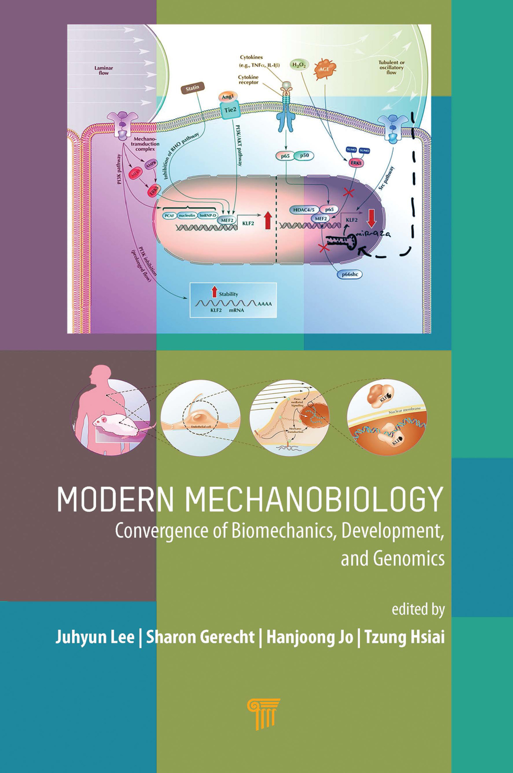 Modern Mechanobiology Convergence of Biomechanics, Development, and Genomics 1st Edition â€“ PDF/EPUB Version Downloadable