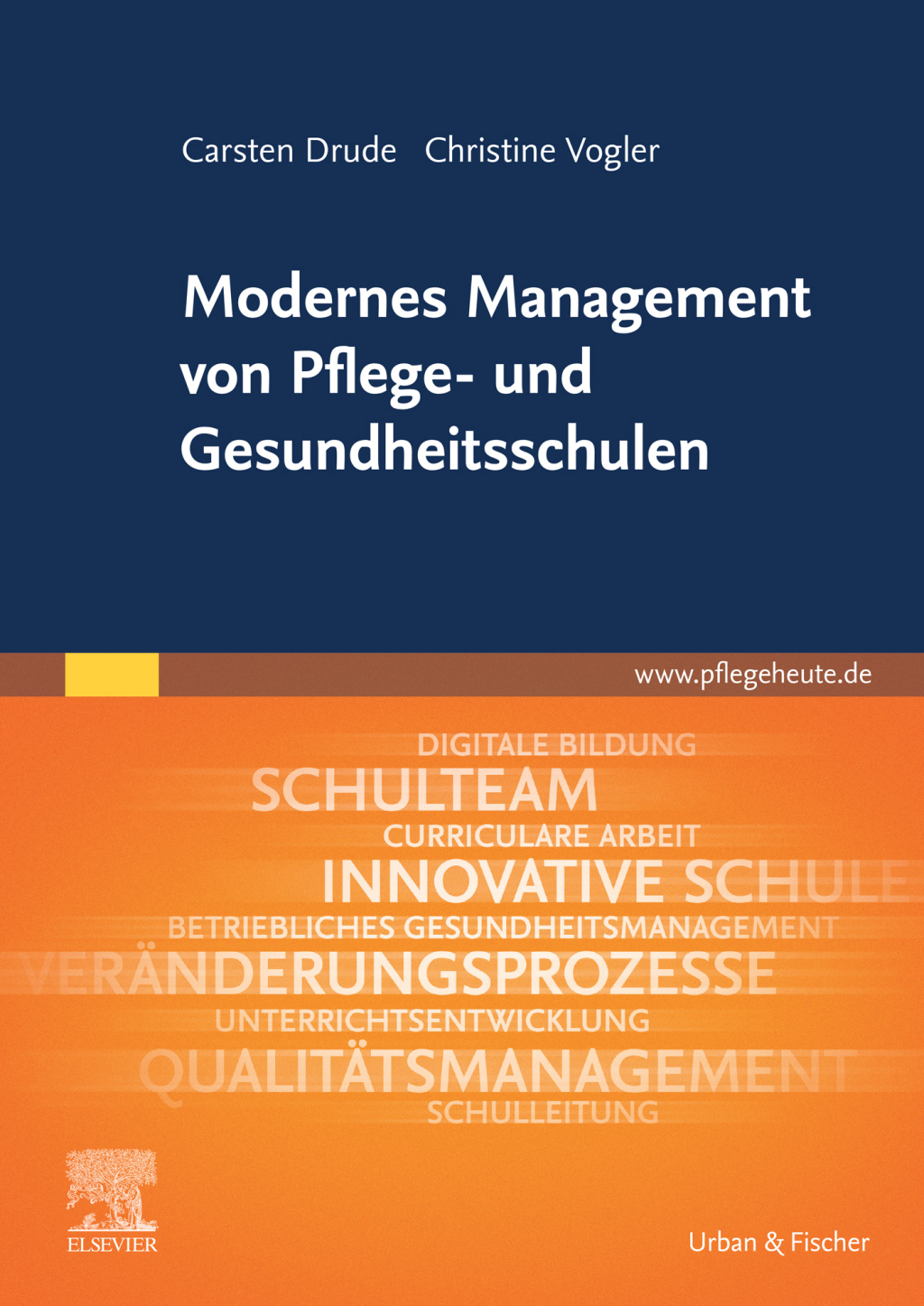 Modernes Management von Pflege- und Gesundheitsschulen  â€“ PDF/EPUB Version Downloadable