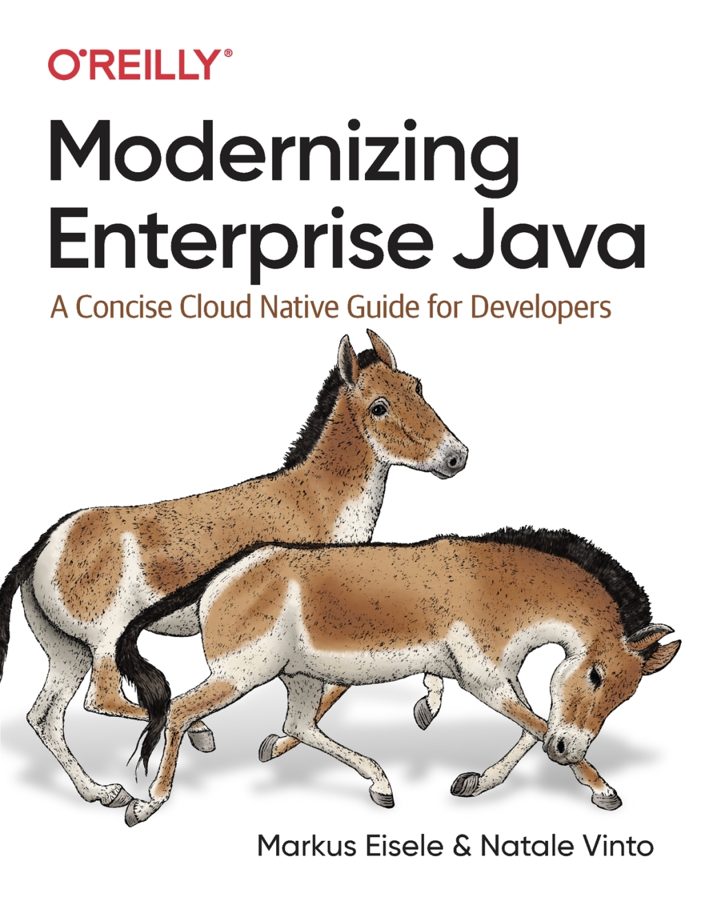 Modernizing Enterprise Java A Concise Cloud Native Guide for Developers 1st Edition â€“ PDF/EPUB Version Downloadable