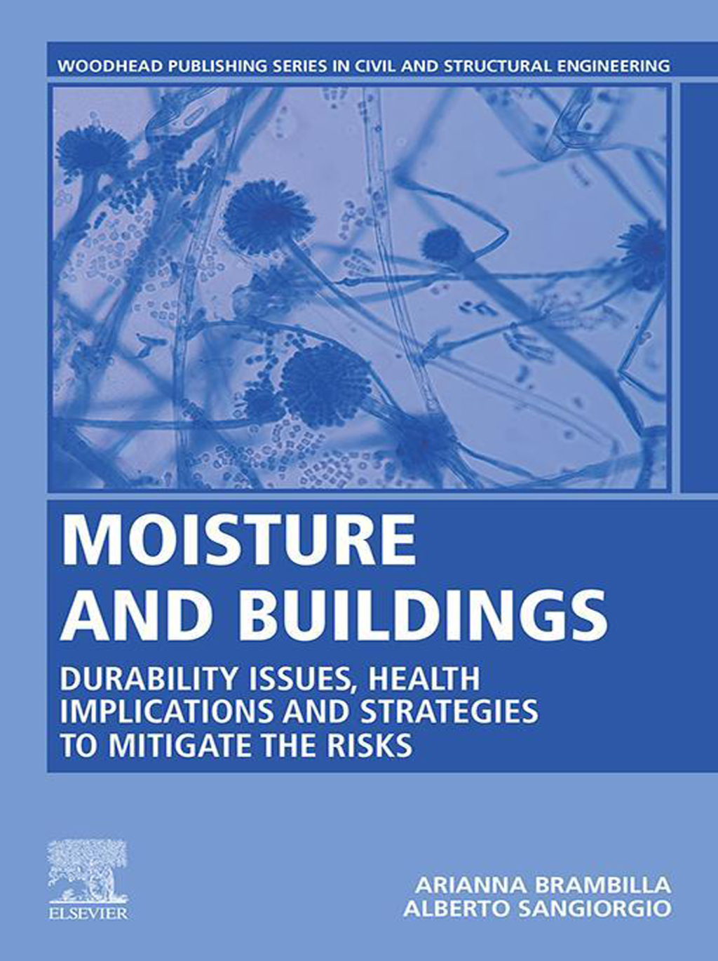 Moisture and Buildings Durability Issues, Health Implications and Strategies to Mitigate the Risks  â€“ PDF/EPUB Version Downloadable