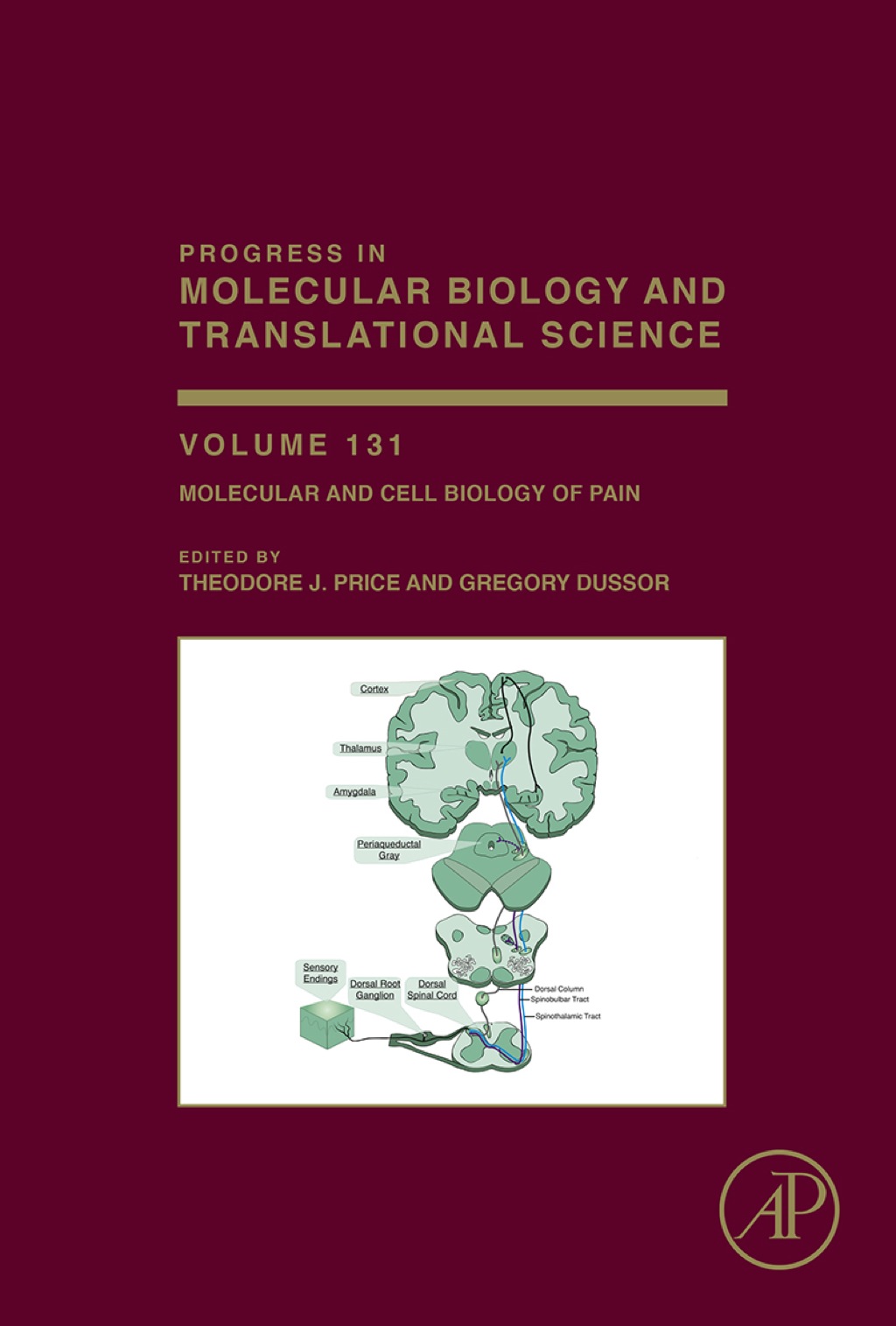 Molecular and Cell Biology of Pain  â€“ PDF/EPUB Version Downloadable