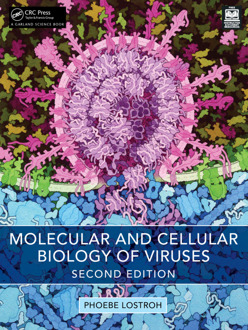 Molecular and Cellular Biology of Viruses 2nd Edition â€“ PDF/EPUB Version Downloadable
