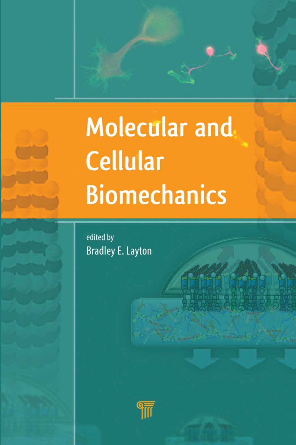 Molecular and Cellular Biomechanics 1st Edition â€“ PDF/EPUB Version Downloadable