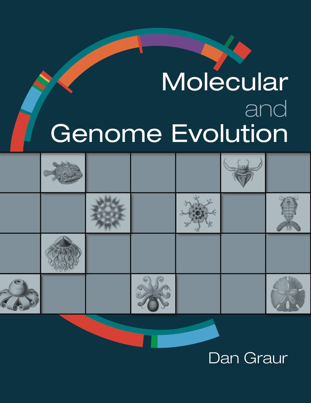 Molecular and Genome Evolution 1st Edition â€“ PDF/EPUB Version Downloadable
