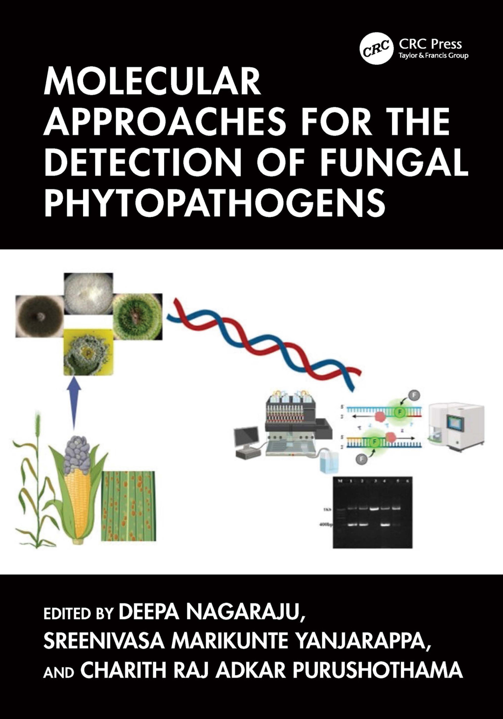 Molecular Approaches for the Detection of Fungal Phytopathogens 1st Edition â€“ PDF/EPUB Version Downloadable