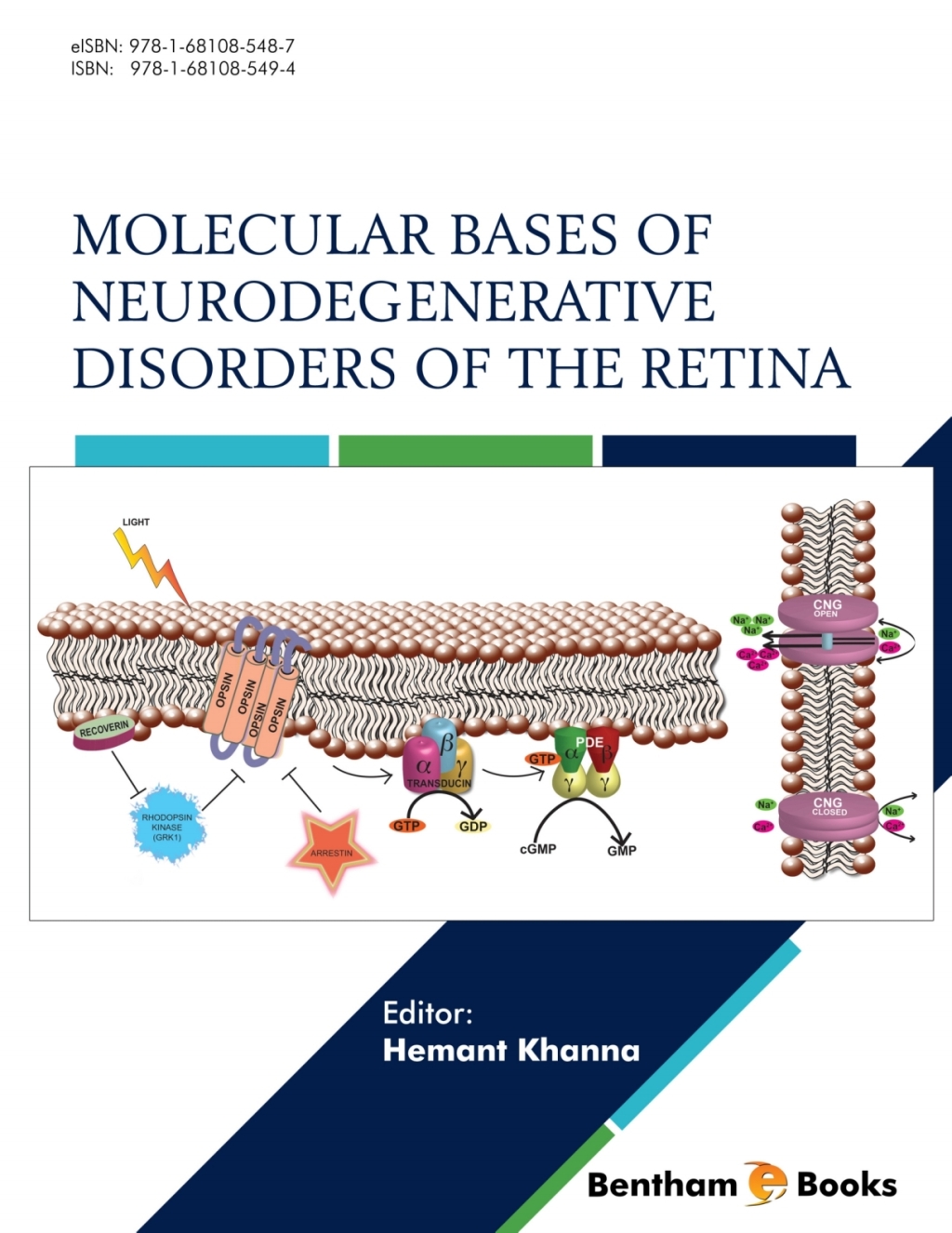 Molecular Bases of Neurodegenerative Disorders of the Retina 1st Edition â€“ PDF/EPUB Version Downloadable