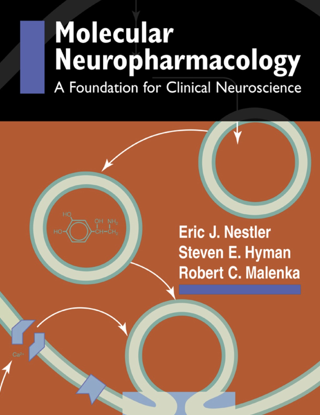 Molecular Basis of Neuropharmacology 1st Edition â€“ PDF/EPUB Version Downloadable
