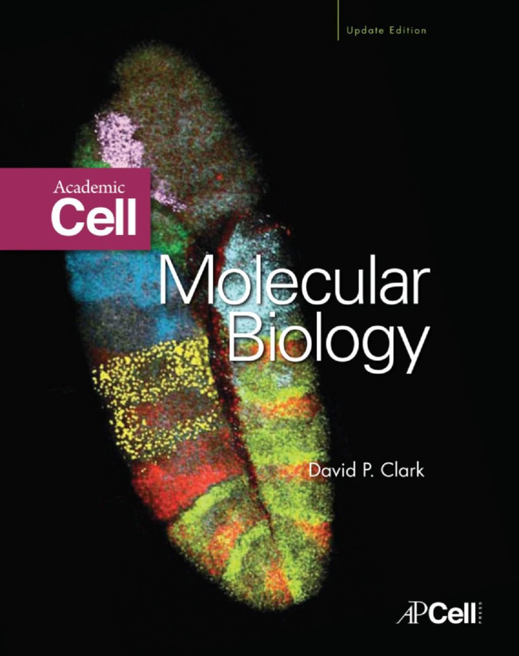 Molecular Biology – PDF/EPUB Version Downloadable
