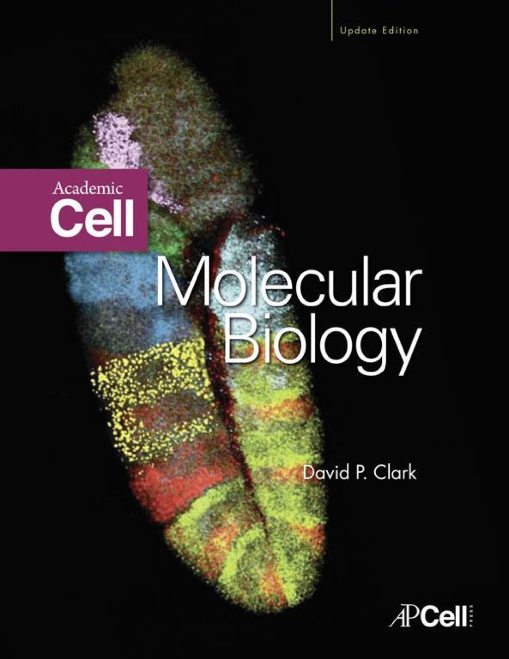 Molecular Biology  â€“ PDF/EPUB Version Downloadable