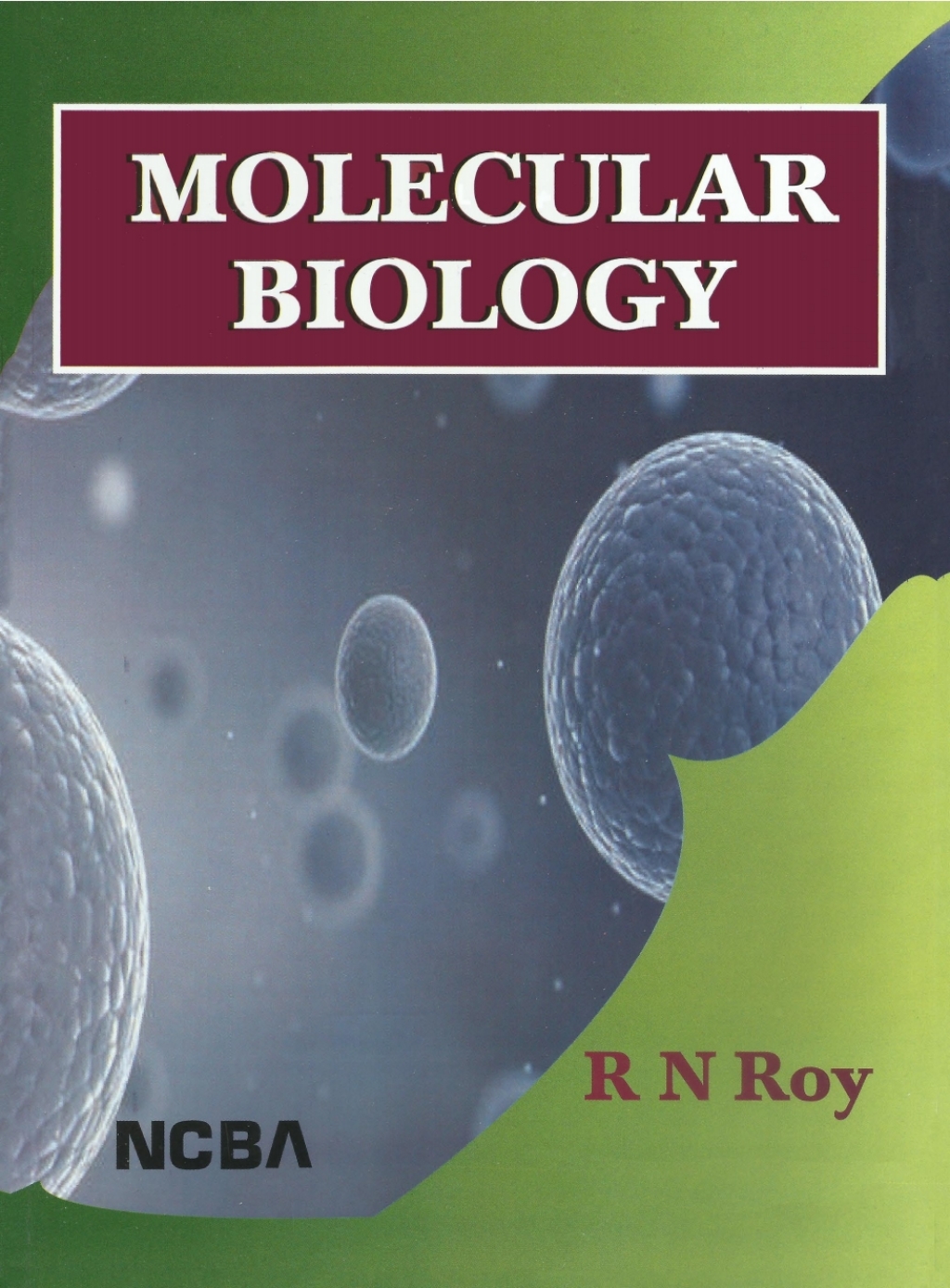 Molecular Biology  â€“ PDF/EPUB Version Downloadable