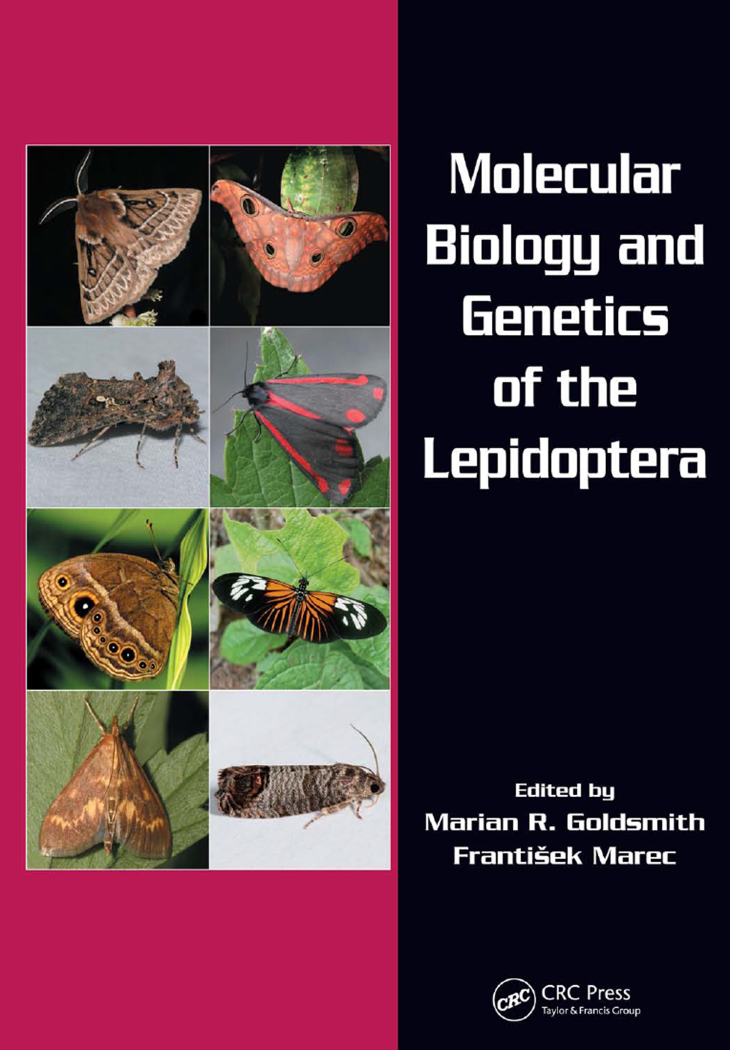 Molecular Biology and Genetics of the Lepidoptera 1st Edition â€“ PDF/EPUB Version Downloadable