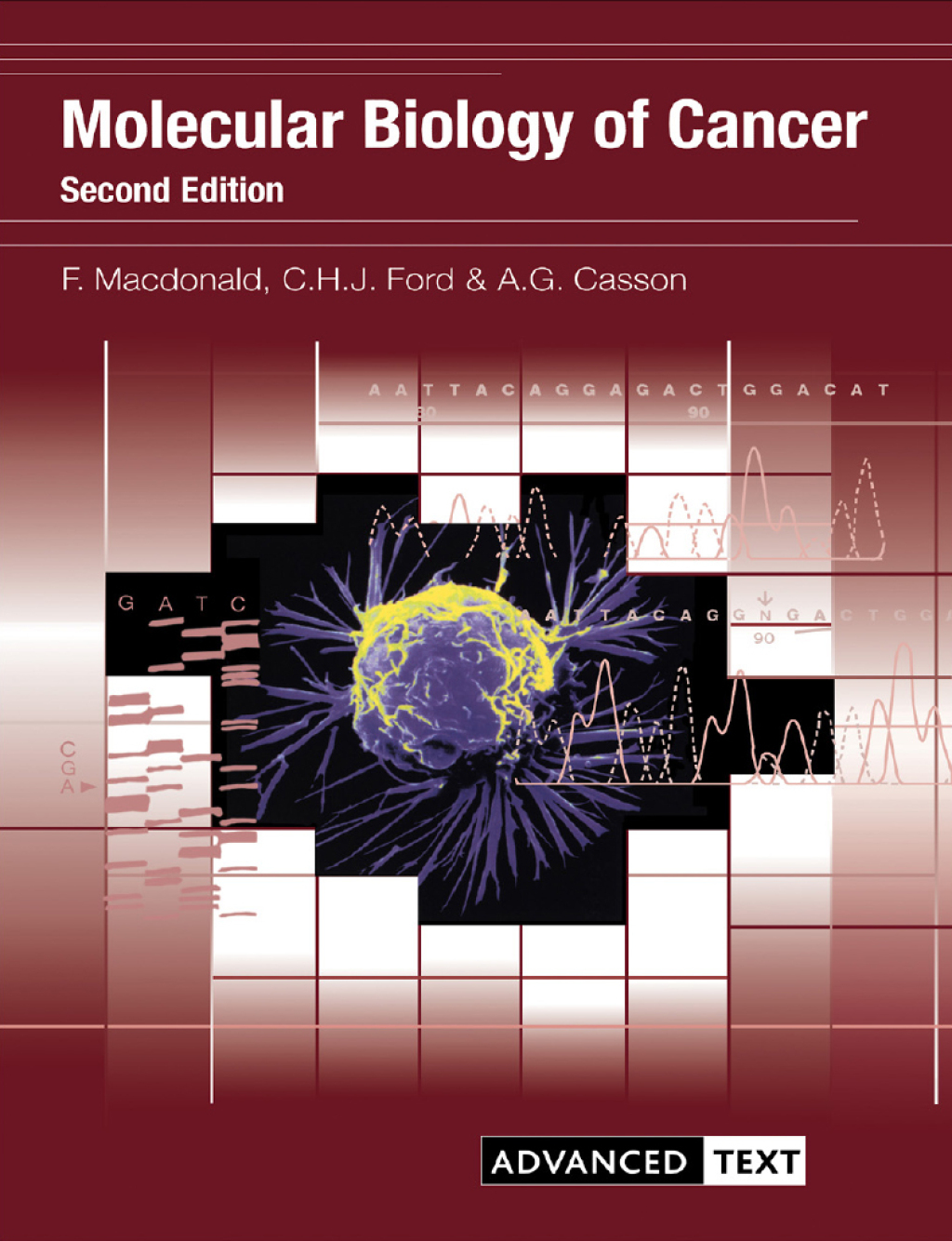 Molecular Biology of Cancer 2nd Edition â€“ PDF/EPUB Version Downloadable