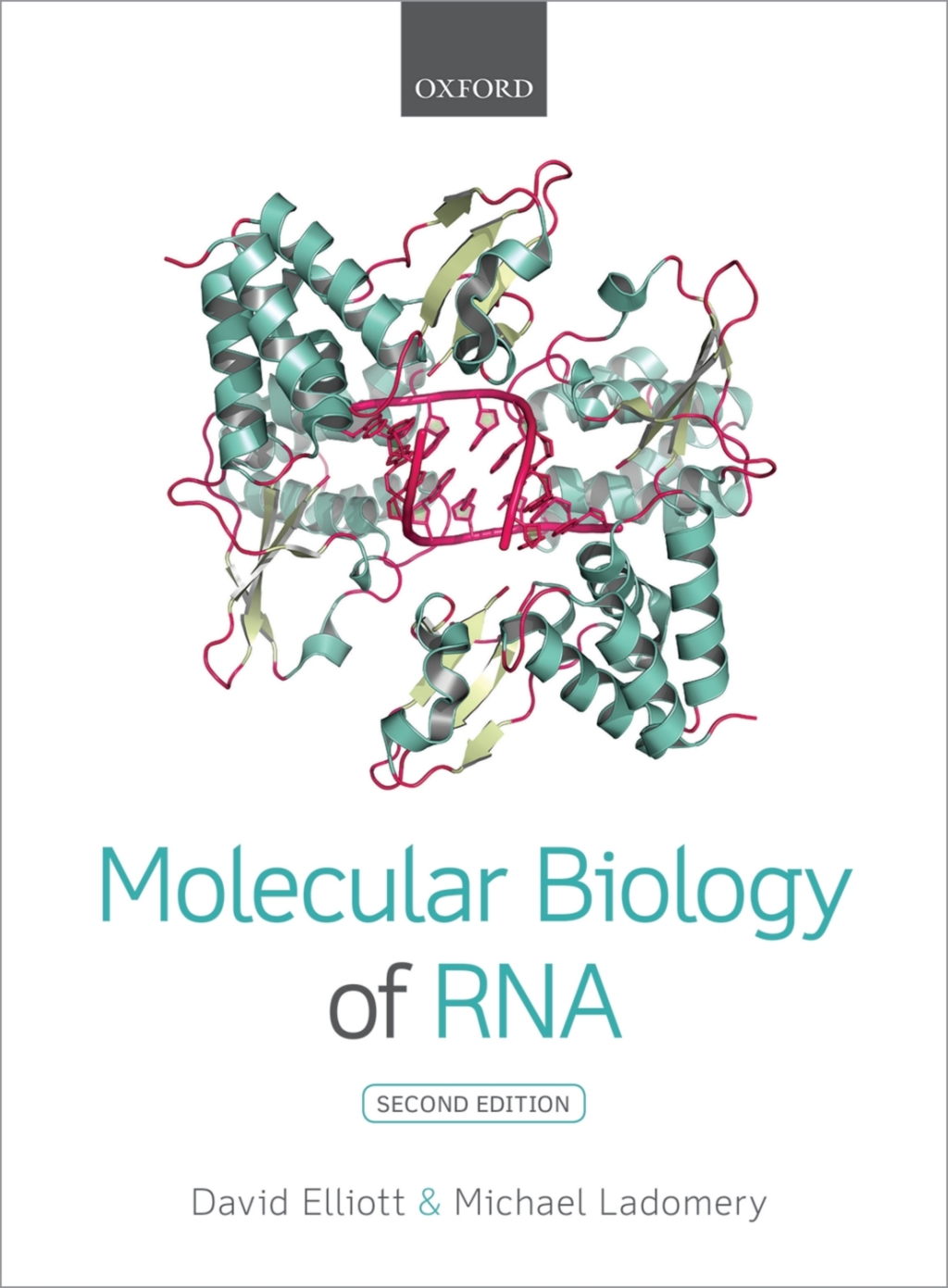 Molecular Biology of RNA 2nd Edition â€“ PDF/EPUB Version Downloadable