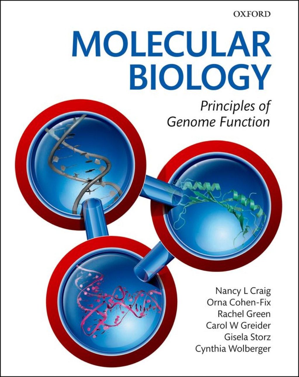 Molecular Biology: Principles of Genome Function  â€“ PDF/EPUB Version Downloadable