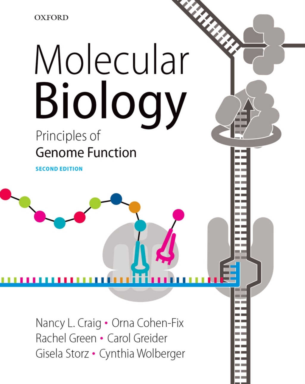 Molecular Biology: Principles of Genome Function 2nd Edition â€“ PDF/EPUB Version Downloadable