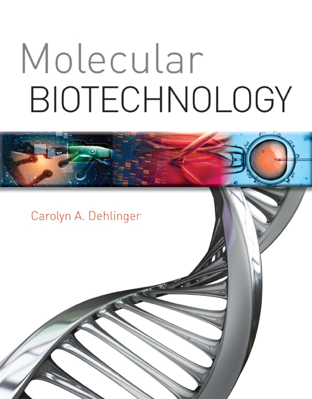Molecular Biotechnology 1st Edition â€“ PDF/EPUB Version Downloadable