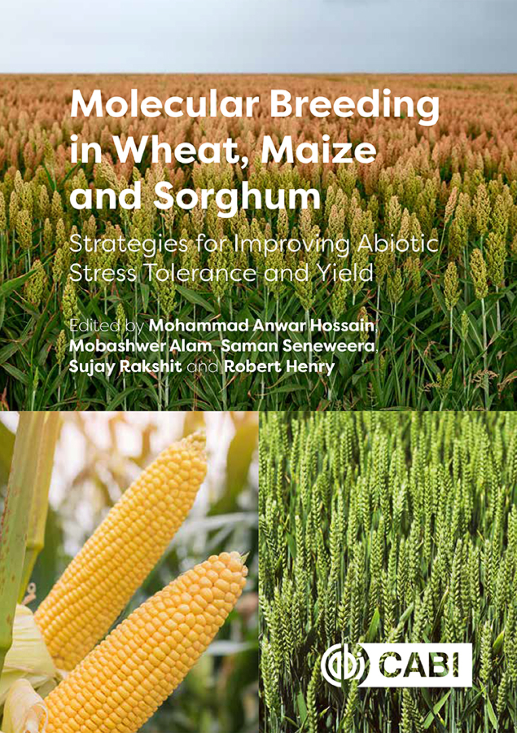 Molecular Breeding in Wheat, Maize and Sorghum Strategies for Improving Abiotic Stress Tolerance and Yield  â€“ PDF/EPUB Version Downloadable