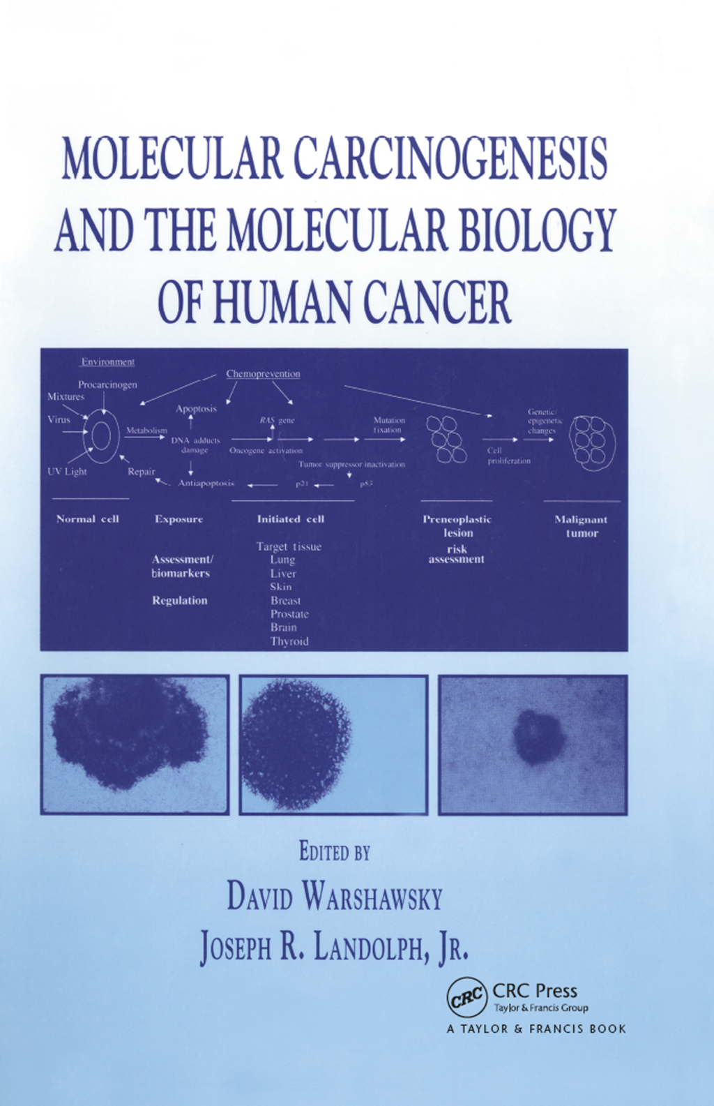 Molecular Carcinogenesis and the Molecular Biology of Human Cancer 1st Edition â€“ PDF/EPUB Version Downloadable