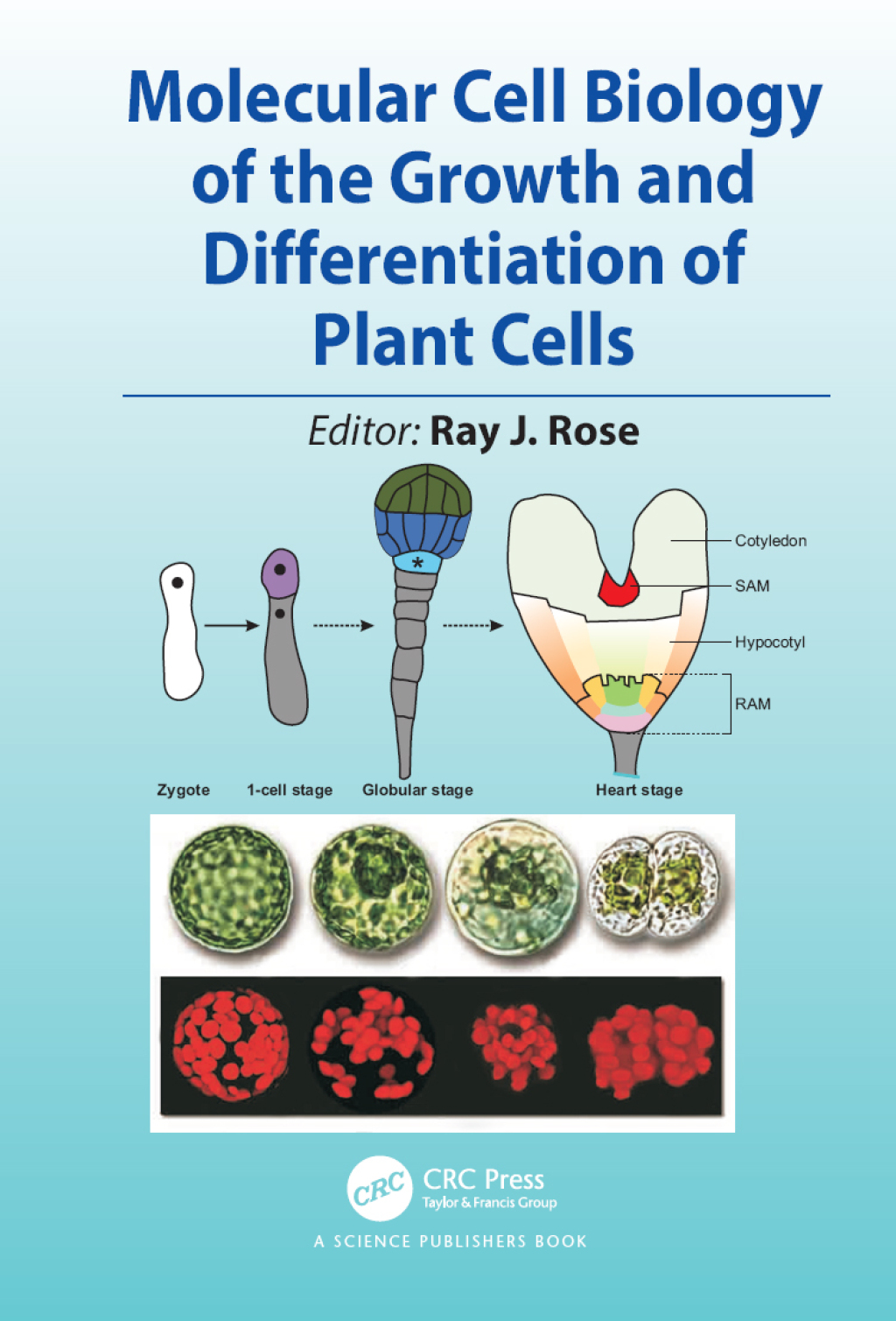 Molecular Cell Biology of the Growth and Differentiation of Plant Cells 1st Edition â€“ PDF/EPUB Version Downloadable