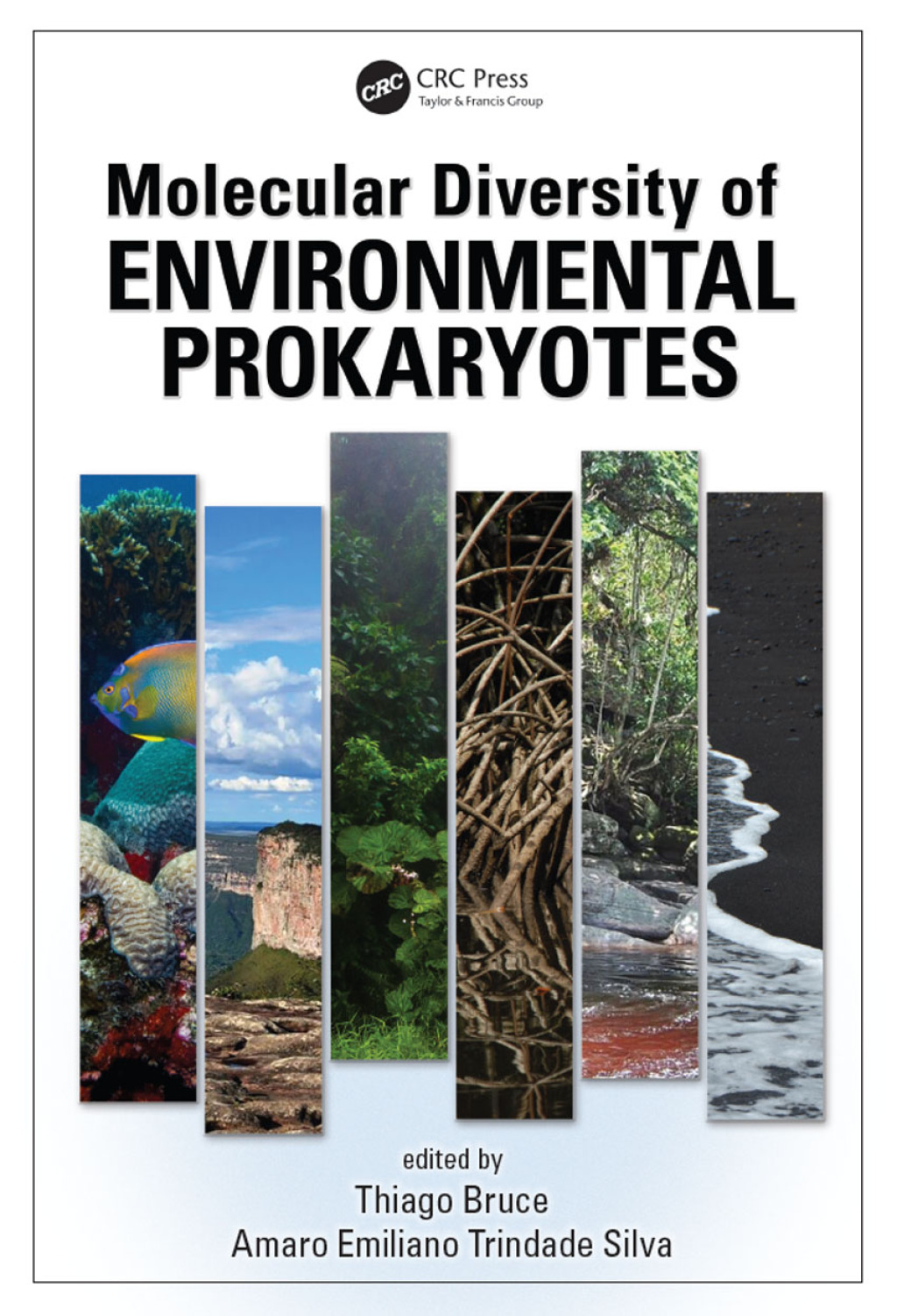 Molecular Diversity of Environmental Prokaryotes 1st Edition â€“ PDF/EPUB Version Downloadable