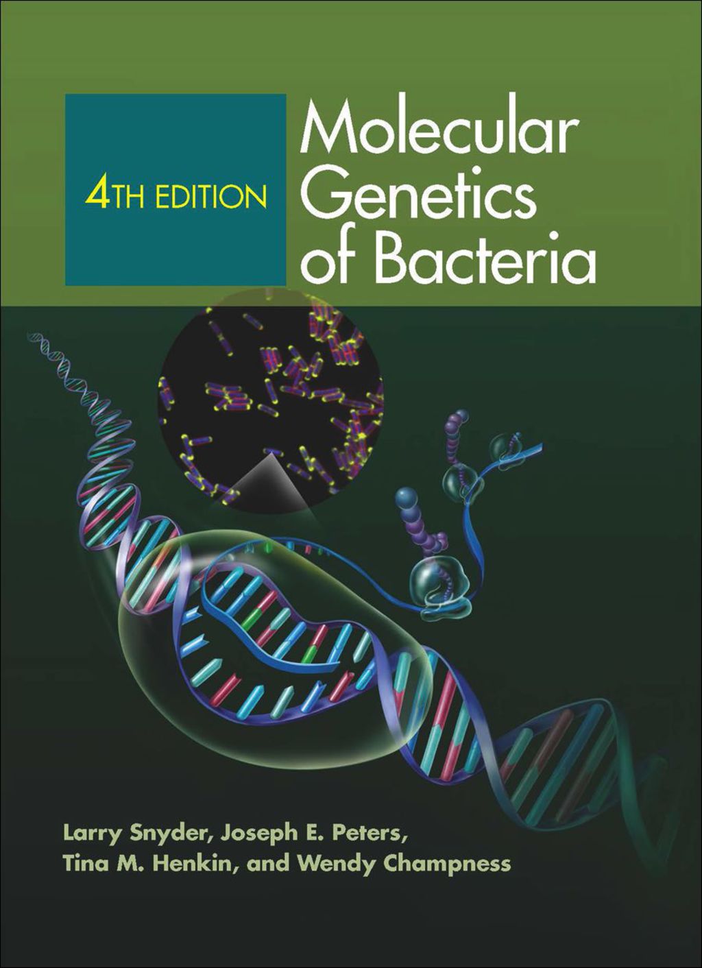 Molecular Genetics of Bacteria 4th Edition â€“ PDF/EPUB Version Downloadable
